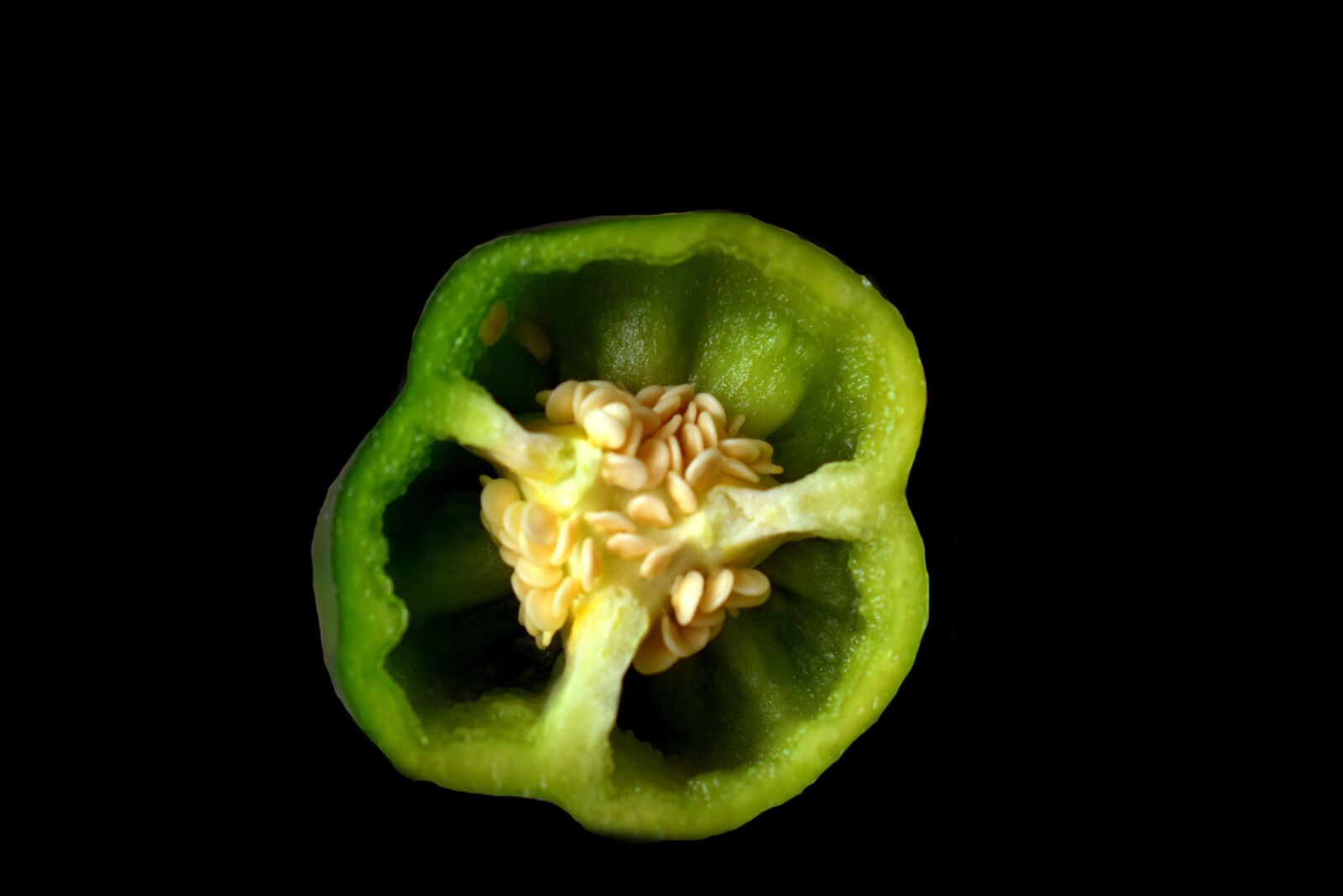 Nikon D5600 sample photo. Capsicum, bell pepper, green photography