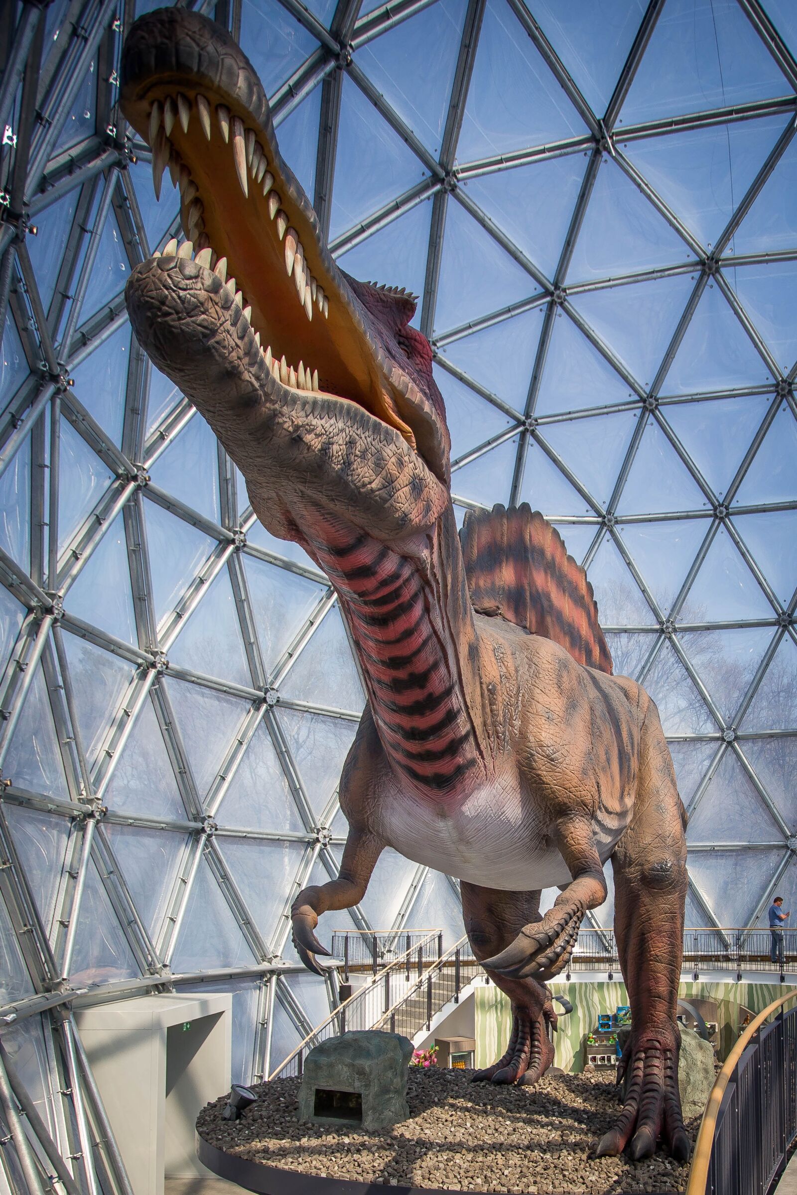 Canon EOS 6D sample photo. Giant lizard, dinosaur, reptile photography