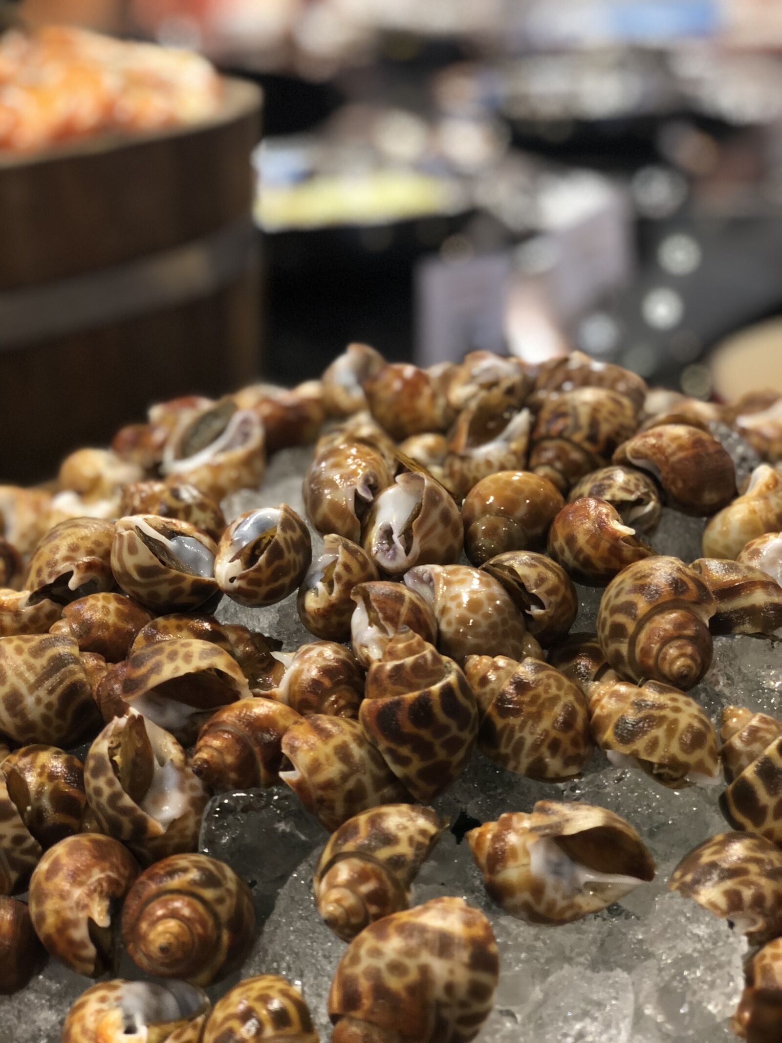 iPhone X back dual camera 6mm f/2.4 sample photo. Sea food, shell, seafood photography