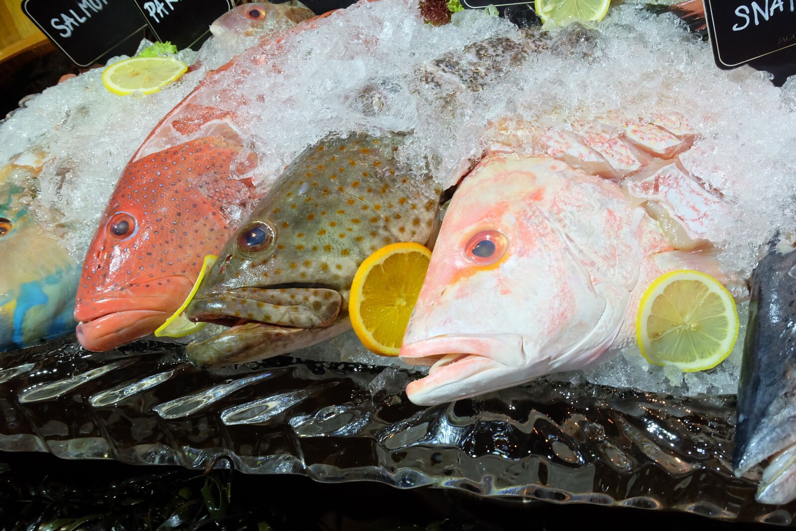 Fujifilm X-A1 sample photo. Fish, seafood, dinner photography