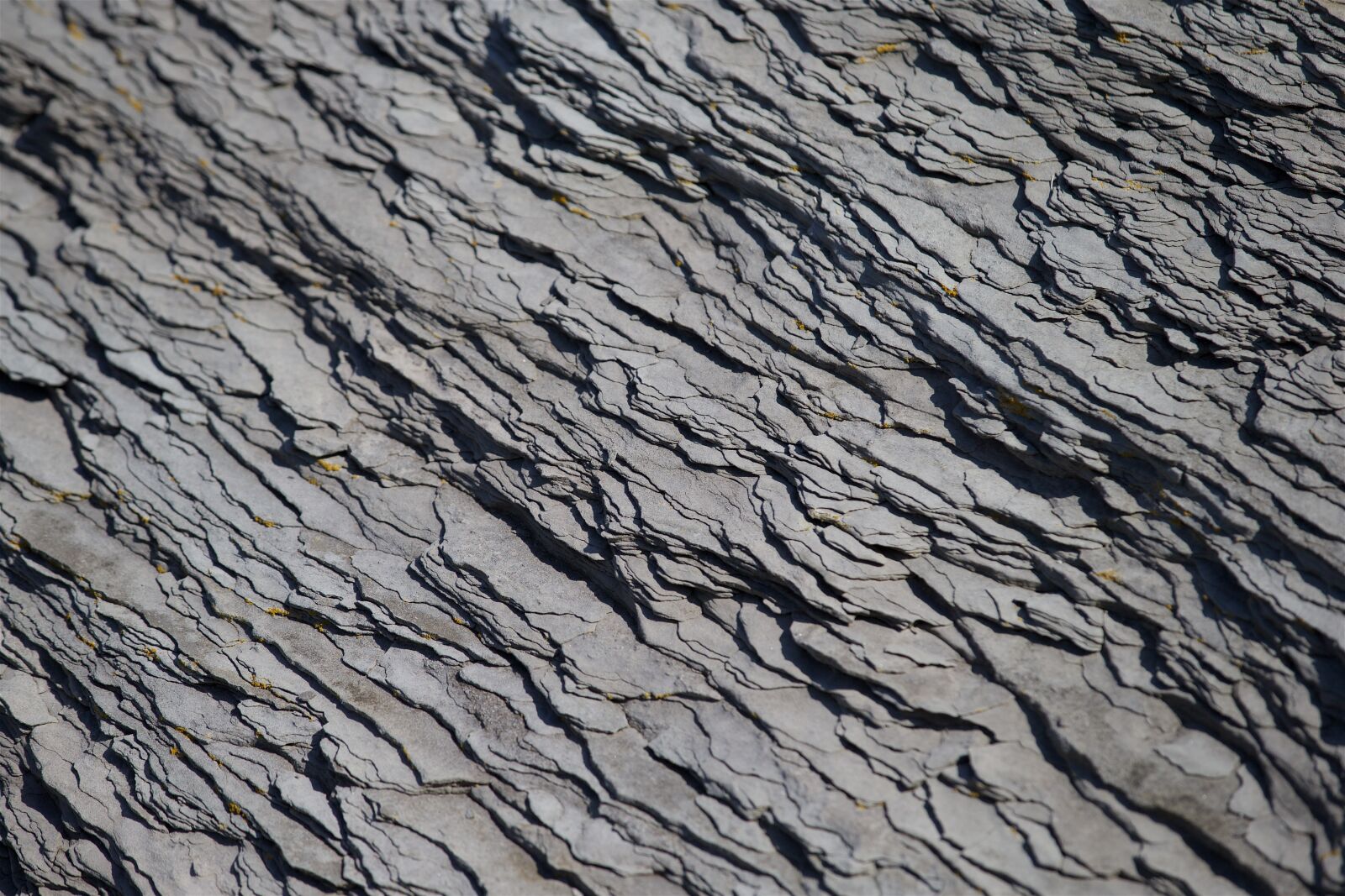Canon EOS-1D X sample photo. Rock, stone photography