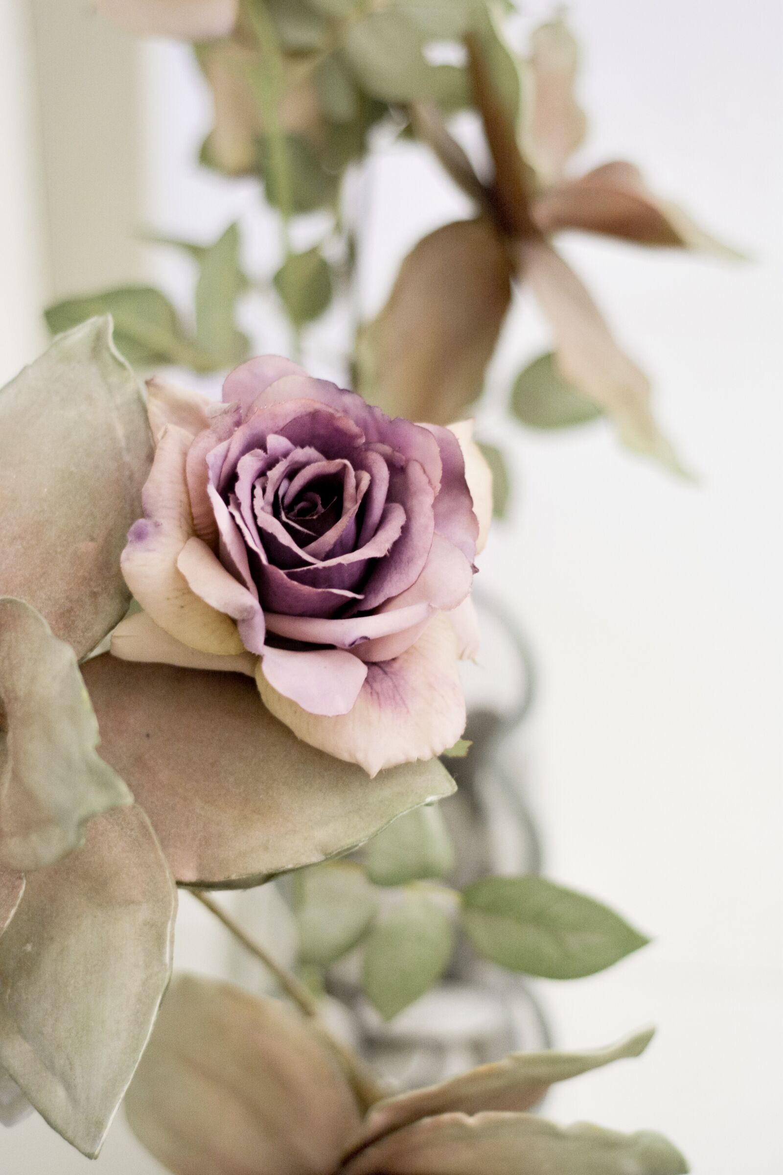 Nikon D7100 sample photo. Natural, flower, purple photography