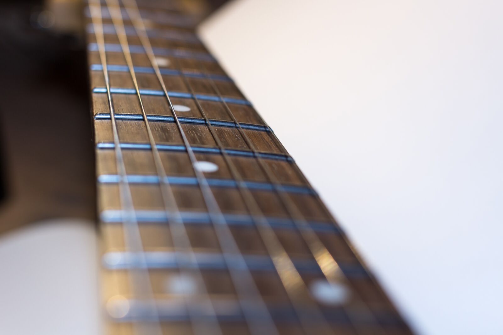 Canon EF 40mm F2.8 STM sample photo. Guitar, electric guitar, vulture photography