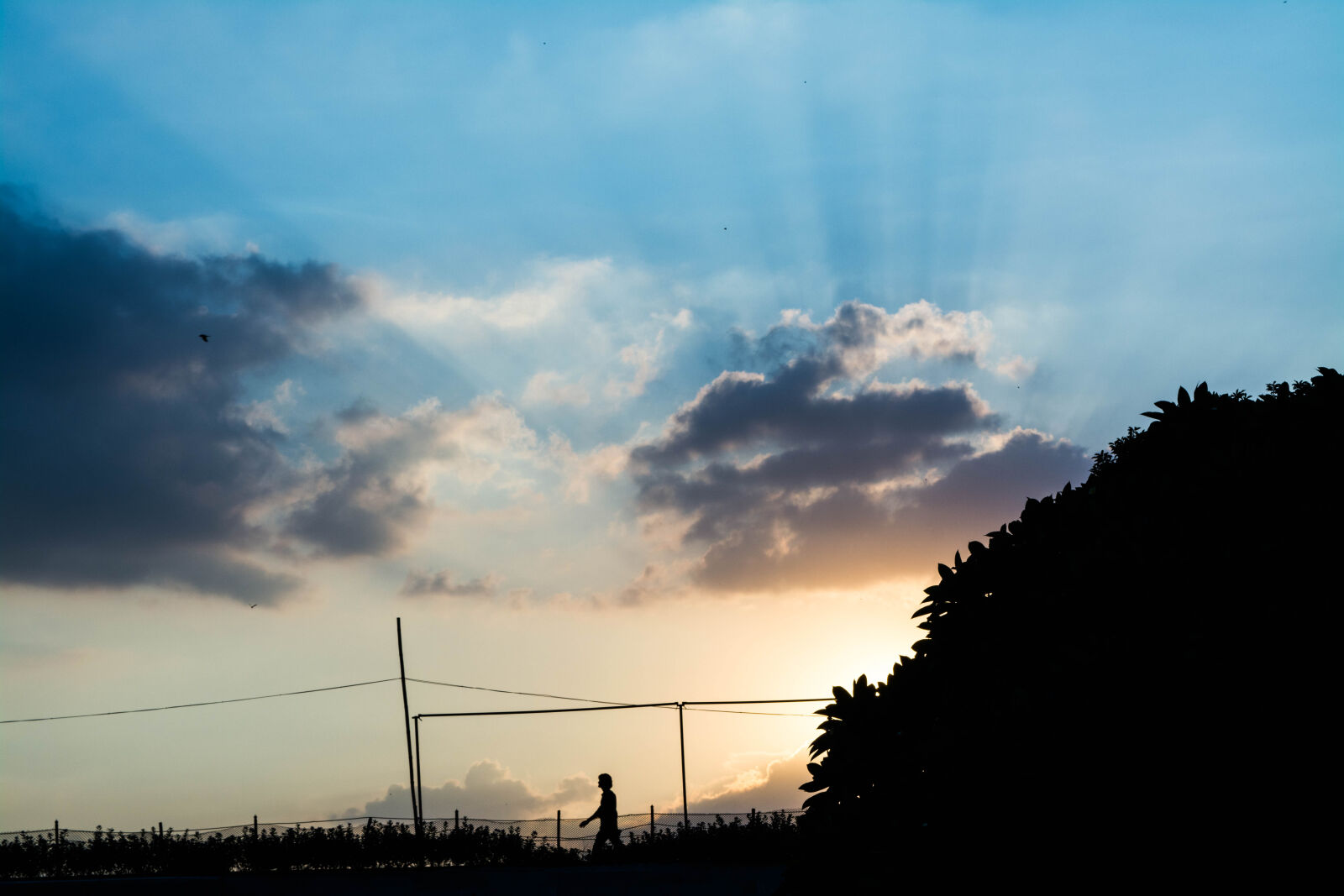 Nikon D5200 sample photo. Black, blue, clouds, individual photography