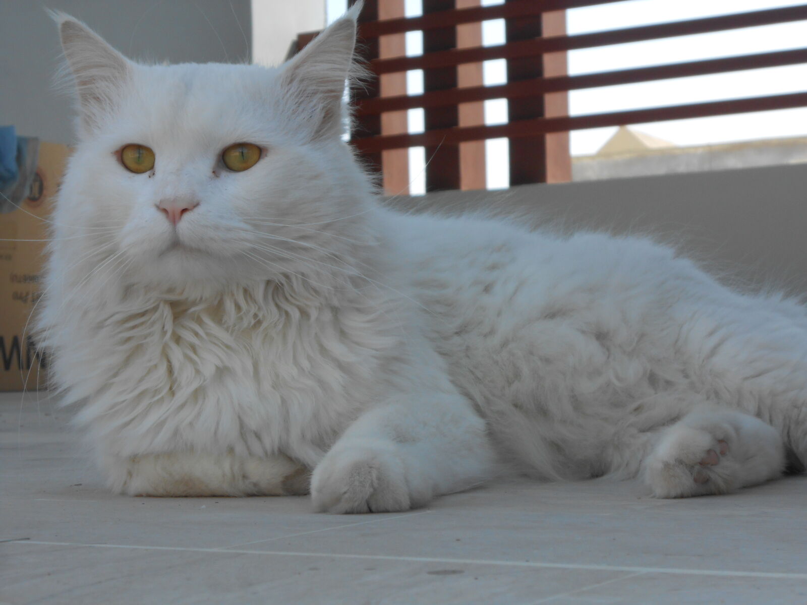 Nikon COOLPIX S4200 sample photo