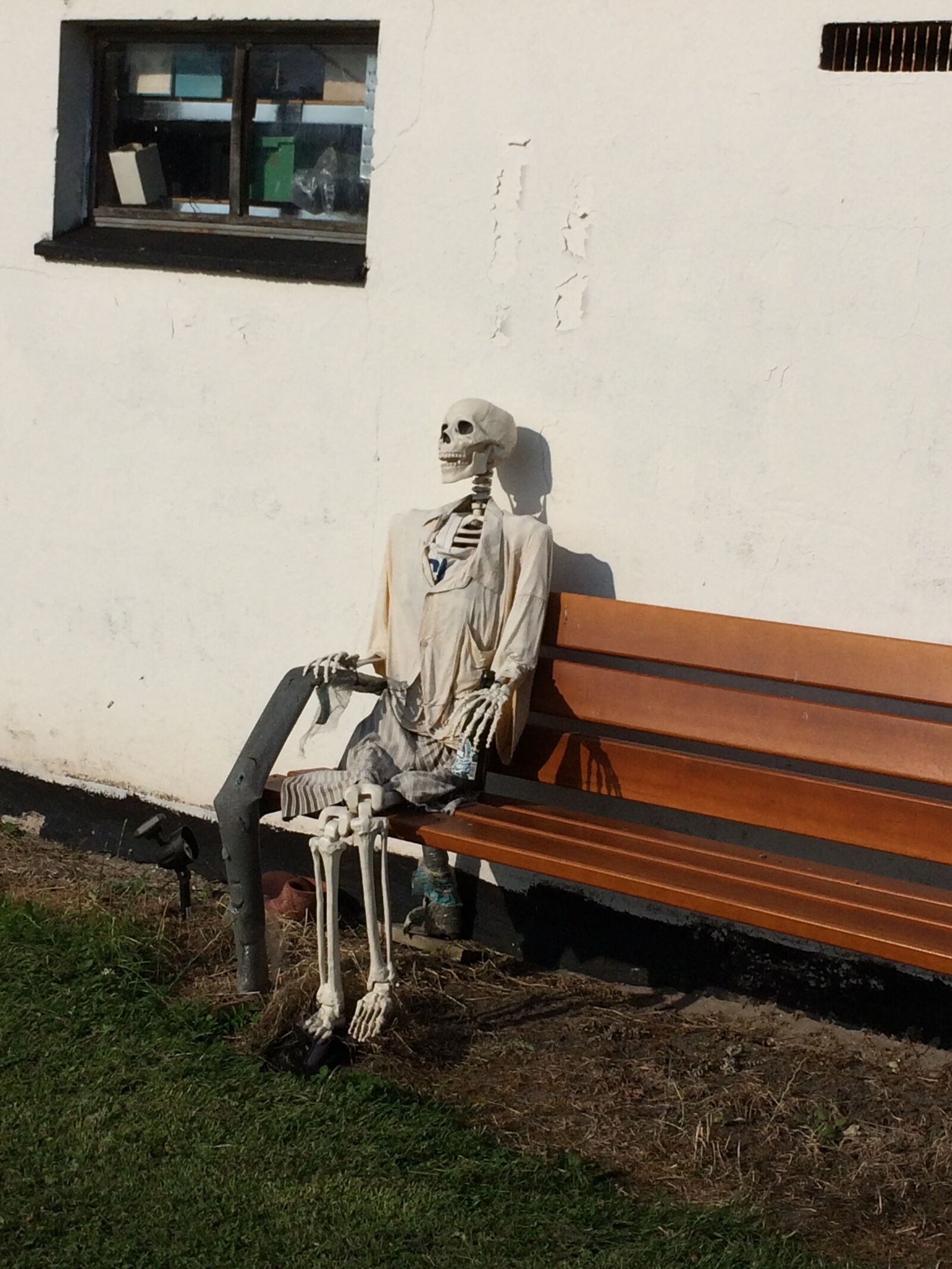 iPhone 5s back camera 4.12mm f/2.2 sample photo. Skeleton, bench, skull photography