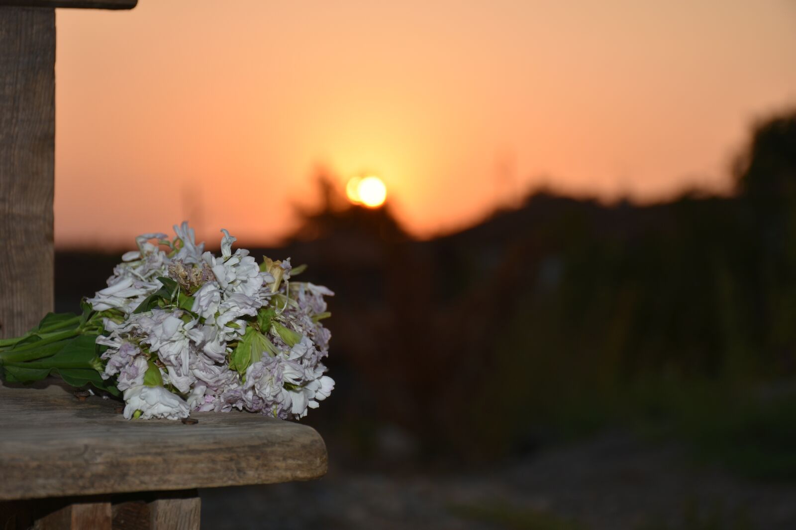 Nikon D7200 sample photo. Gun sunset, beverage, solar photography