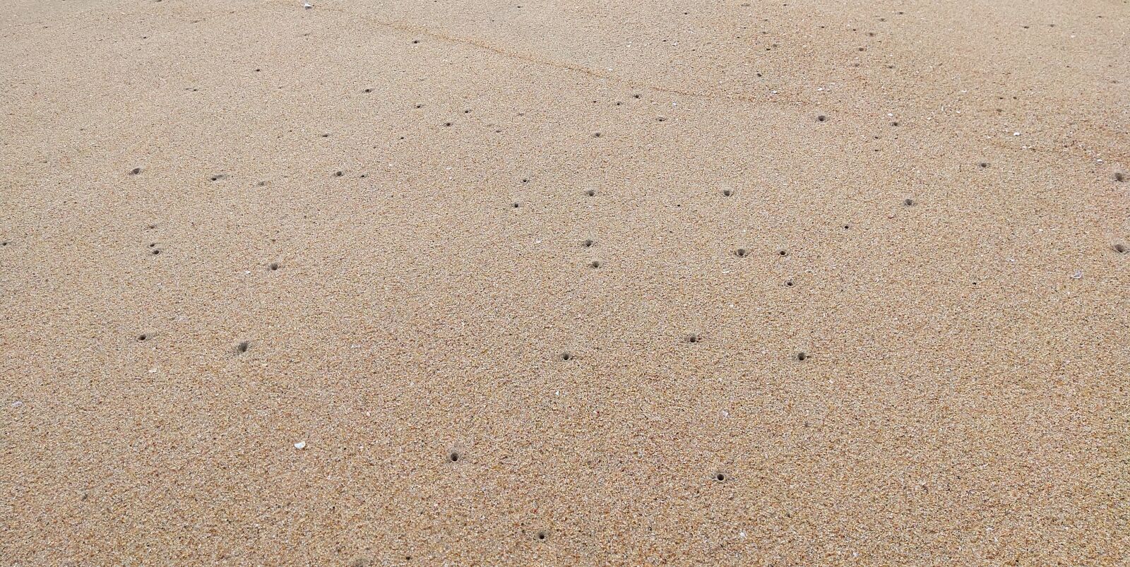 vivo 1818 sample photo. Texture, sand, beach photography