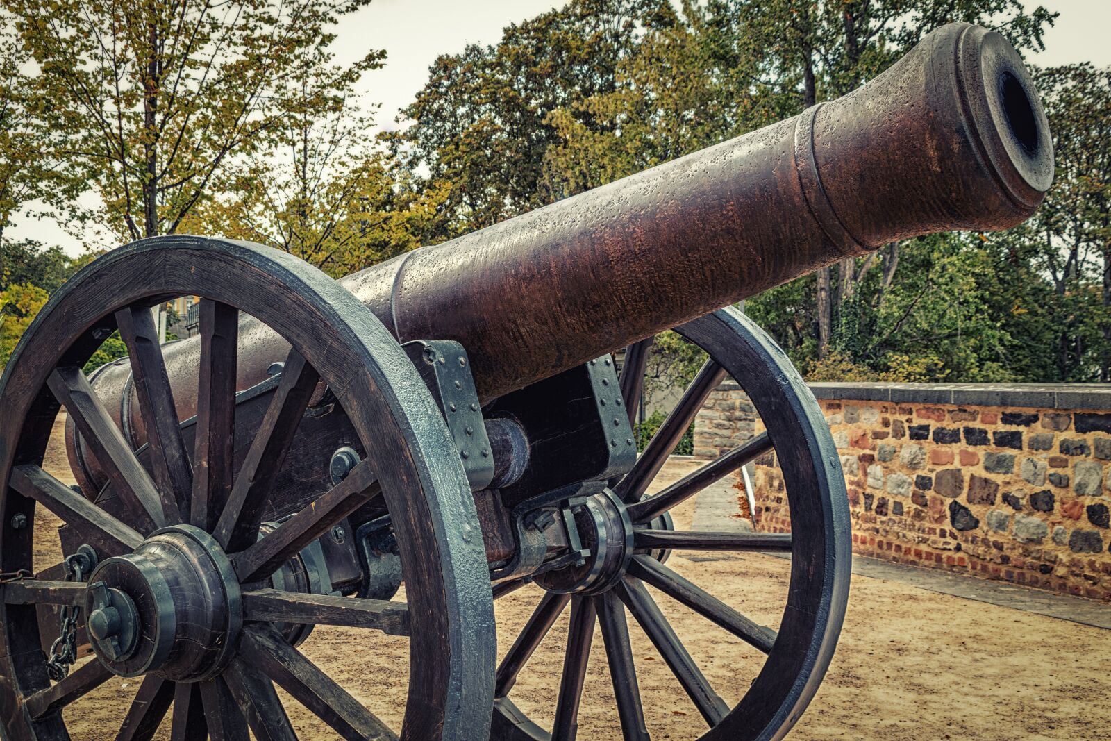 Canon EOS 80D sample photo. Gun, old, metal photography