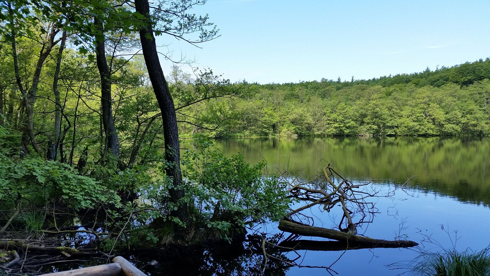 Samsung Galaxy S5 sample photo. Lake, landscape, woods photography