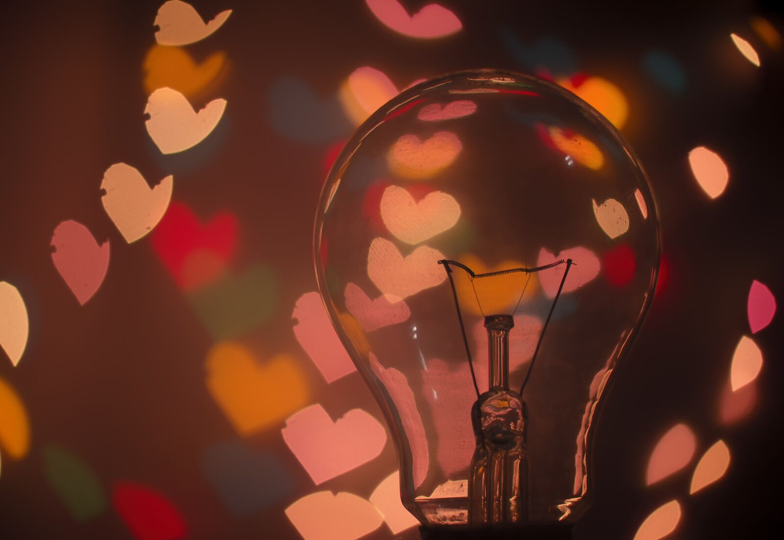 Nikon D5200 sample photo. Bulb, light bulb, dark photography