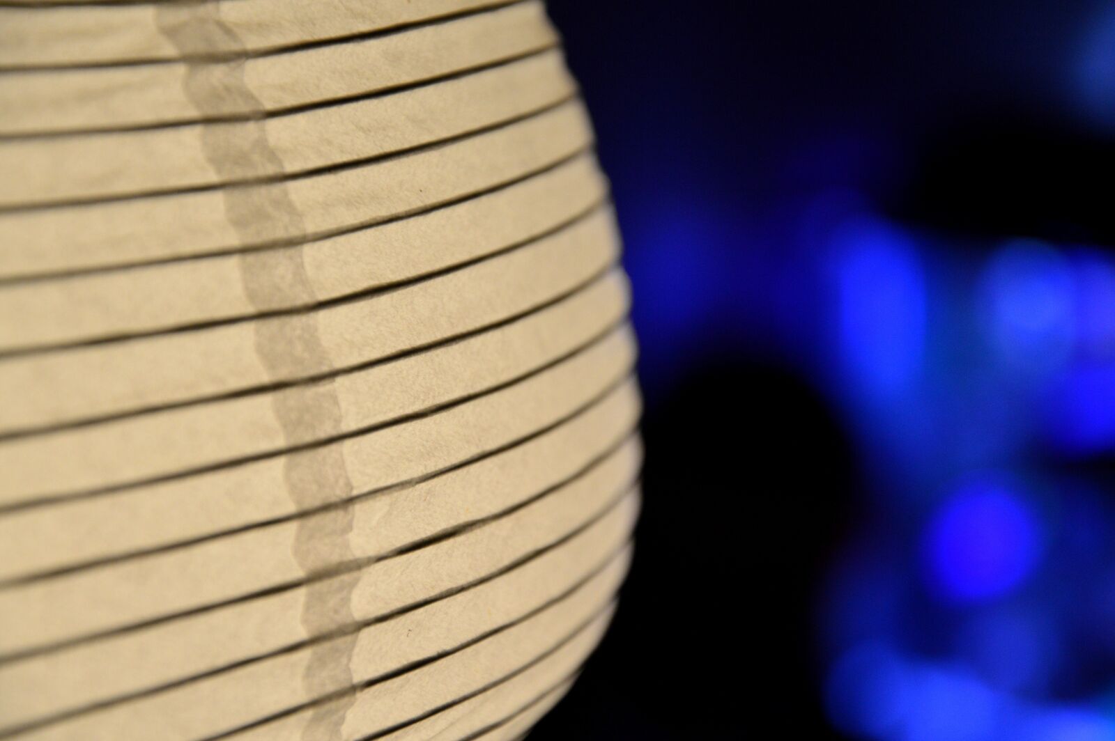 Nikon D3200 sample photo. Light, blue, white photography