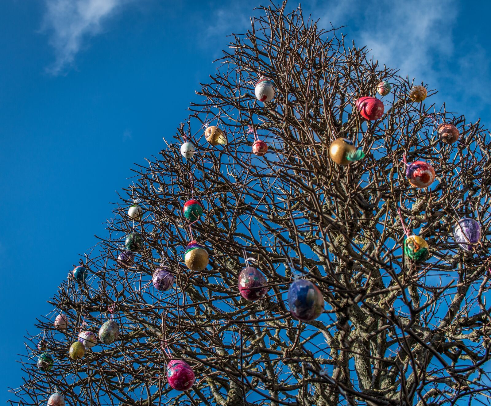 Canon EF-S 24mm F2.8 STM sample photo. Easter, eggs, tree photography