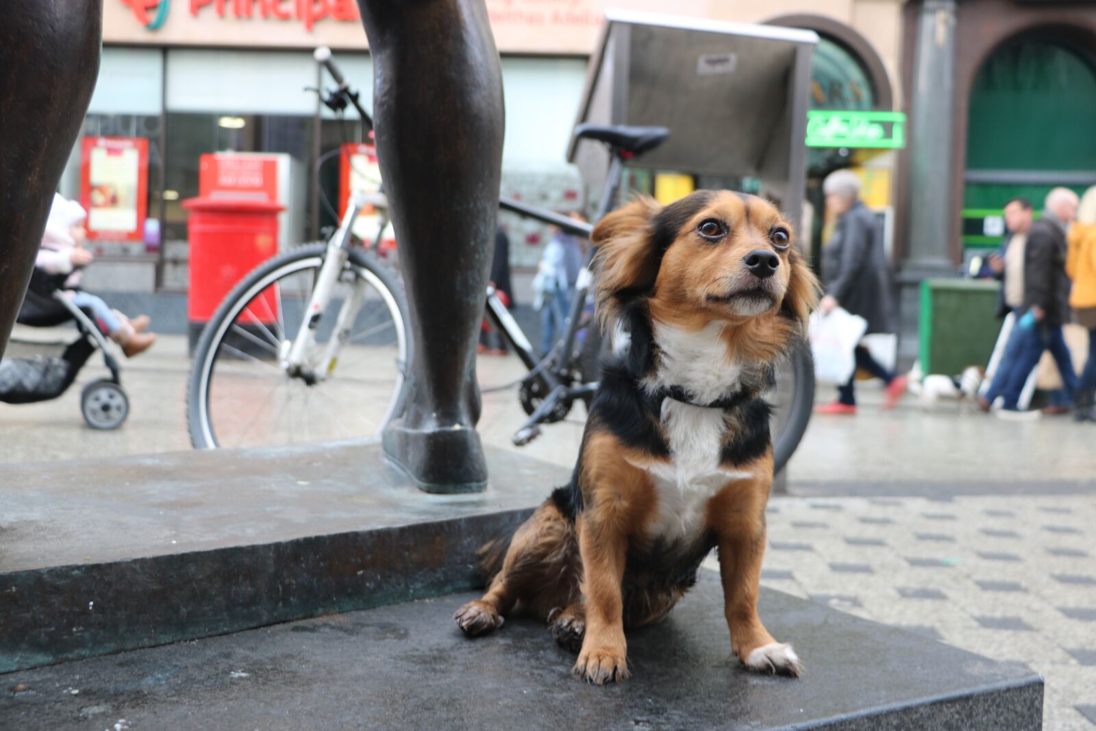 Canon EOS 750D (EOS Rebel T6i / EOS Kiss X8i) sample photo. Street, city, people photography