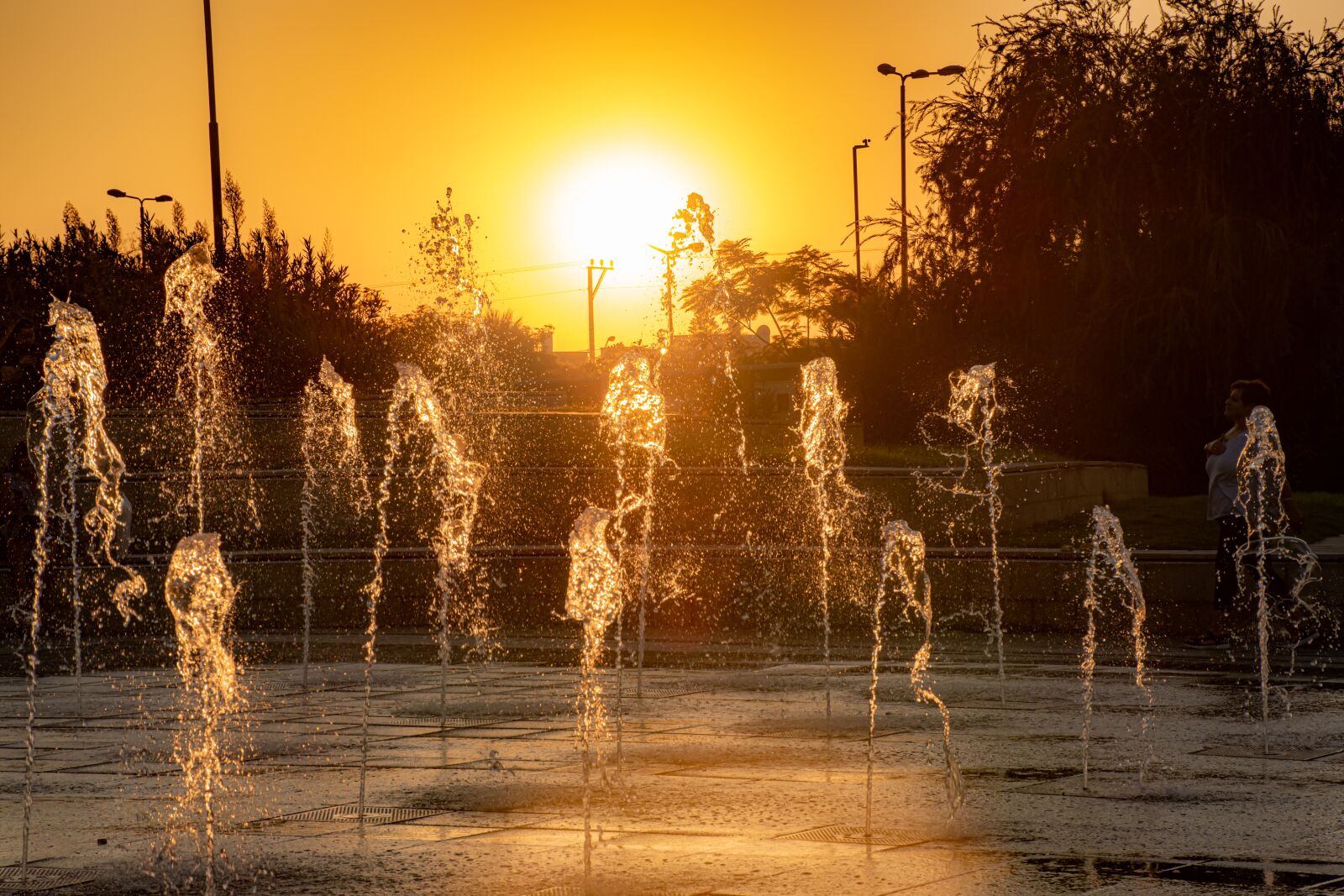 Nikon D5600 sample photo. Water, fountain, clear photography