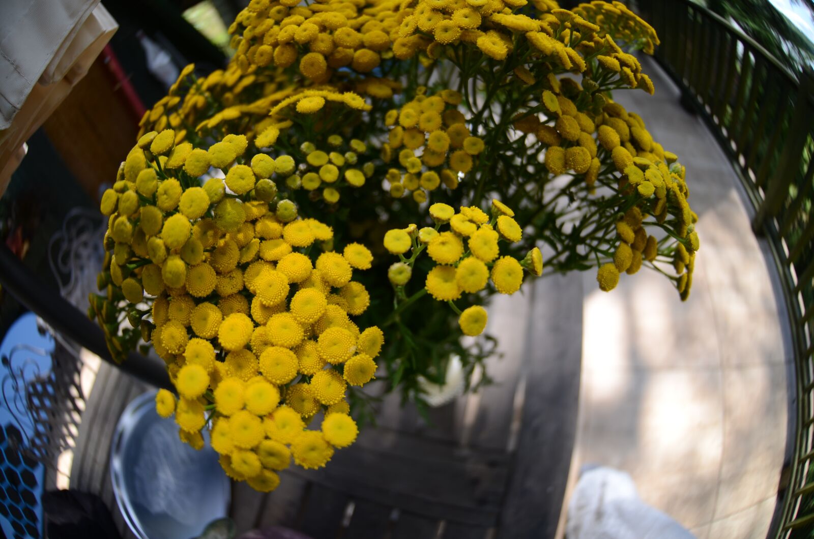 Nikon D7000 sample photo. Flowers, vase, bouquet photography