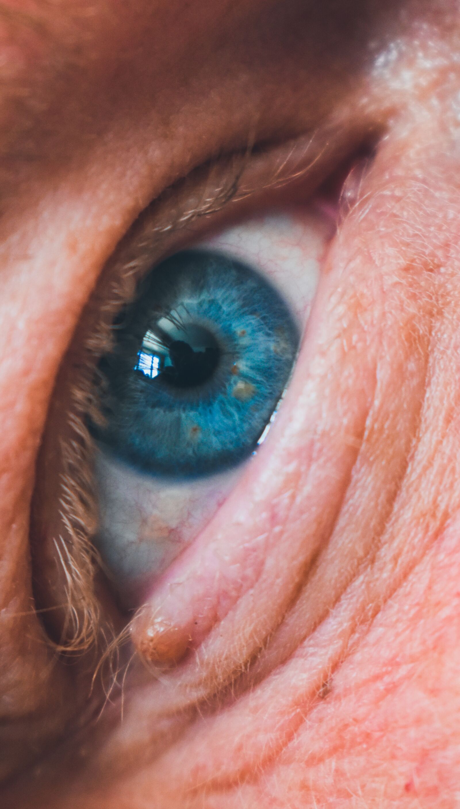 Nikon D3500 sample photo. Eye, blue, person photography