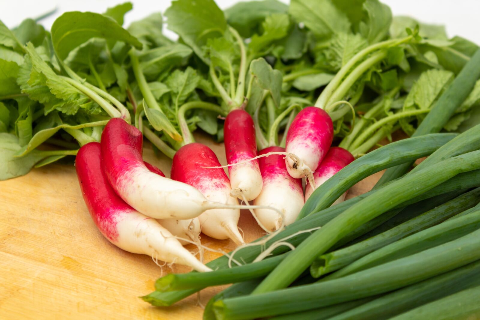 Canon EOS 1300D (EOS Rebel T6 / EOS Kiss X80) sample photo. Radishes, onion, vegetables photography