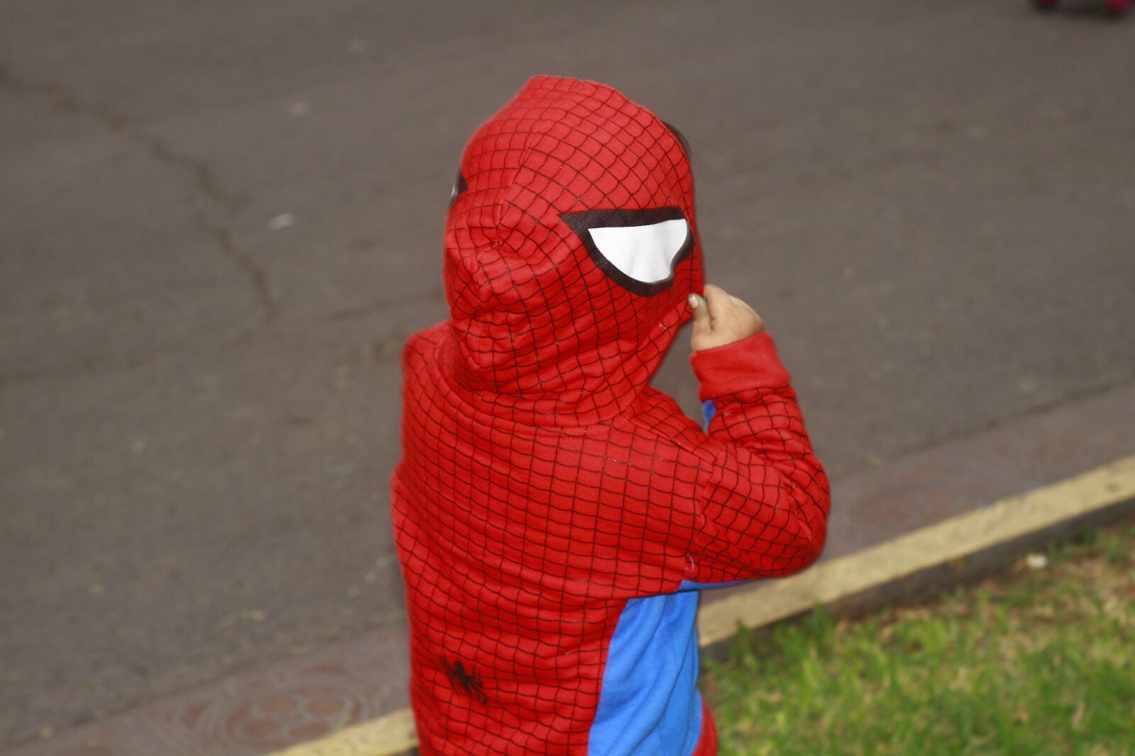Canon EOS 50D sample photo. Mini, man, spider photography