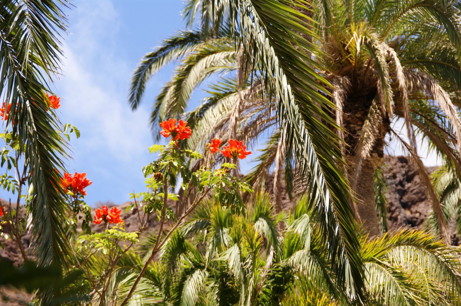 Sony Alpha DSLR-A350 sample photo. Vacations, holidays, view photography
