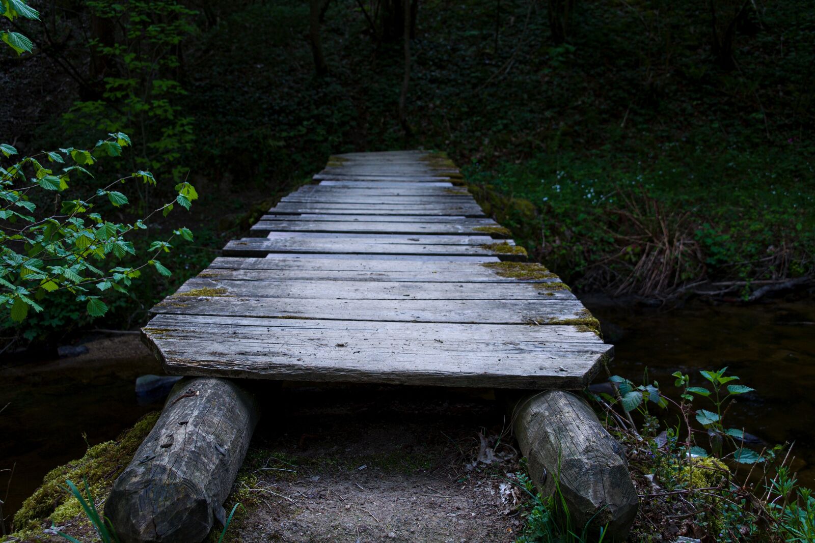 Canon EOS 1100D (EOS Rebel T3 / EOS Kiss X50) sample photo. Bridge, forest, landscape photography