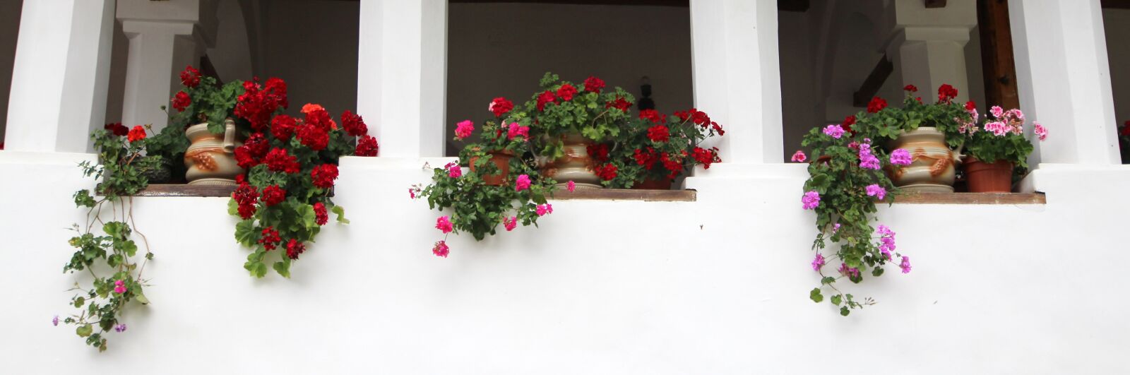 Canon EOS 700D (EOS Rebel T5i / EOS Kiss X7i) sample photo. Flowers, pots, window photography