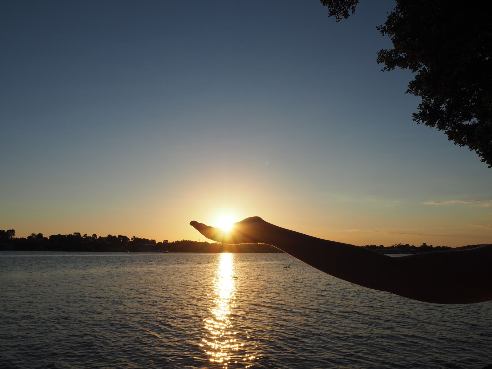 Olympus OM-D E-M10 sample photo. Hand, sunset, holding photography
