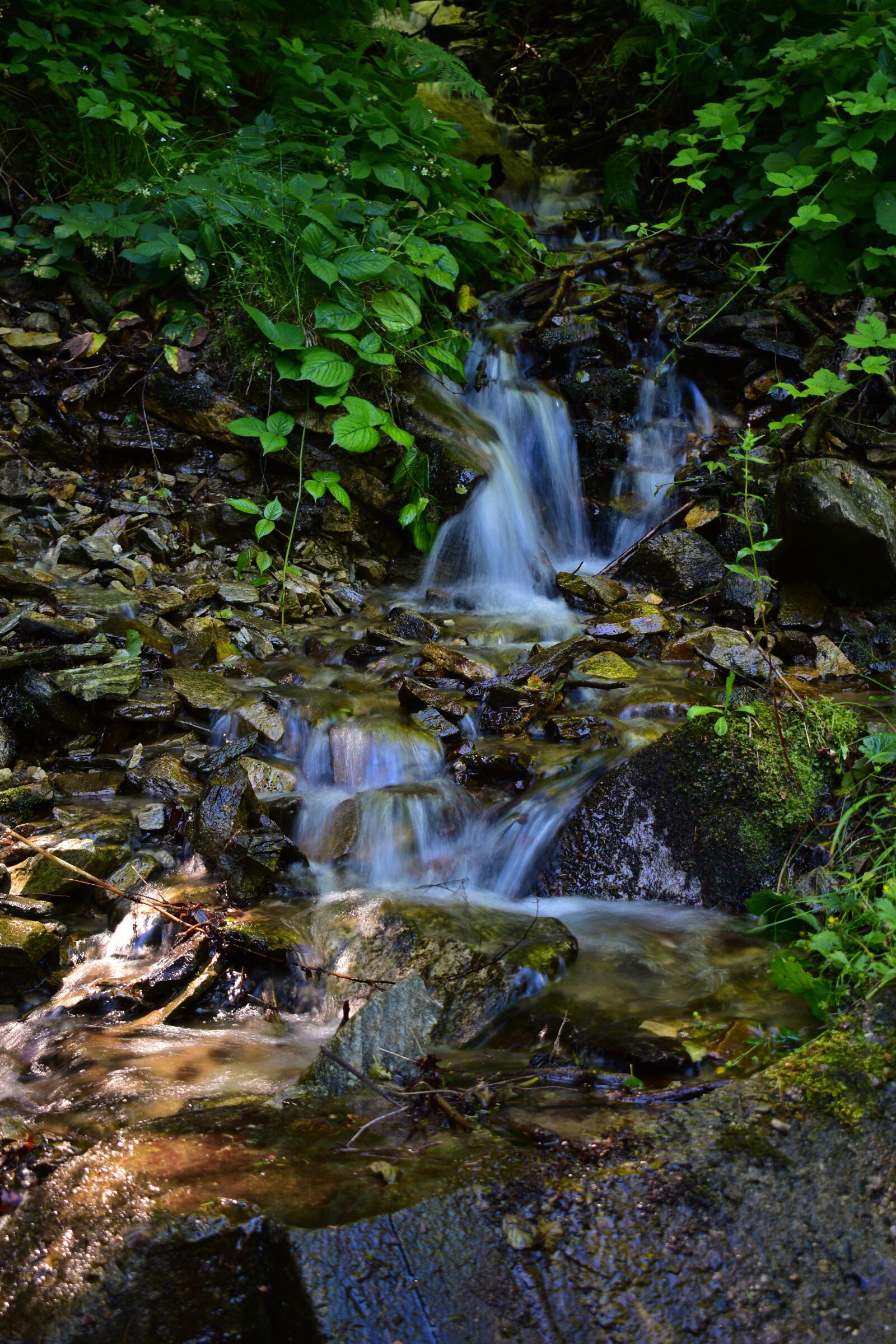 Nikon D3500 sample photo. Forest, waterfall, nature photography