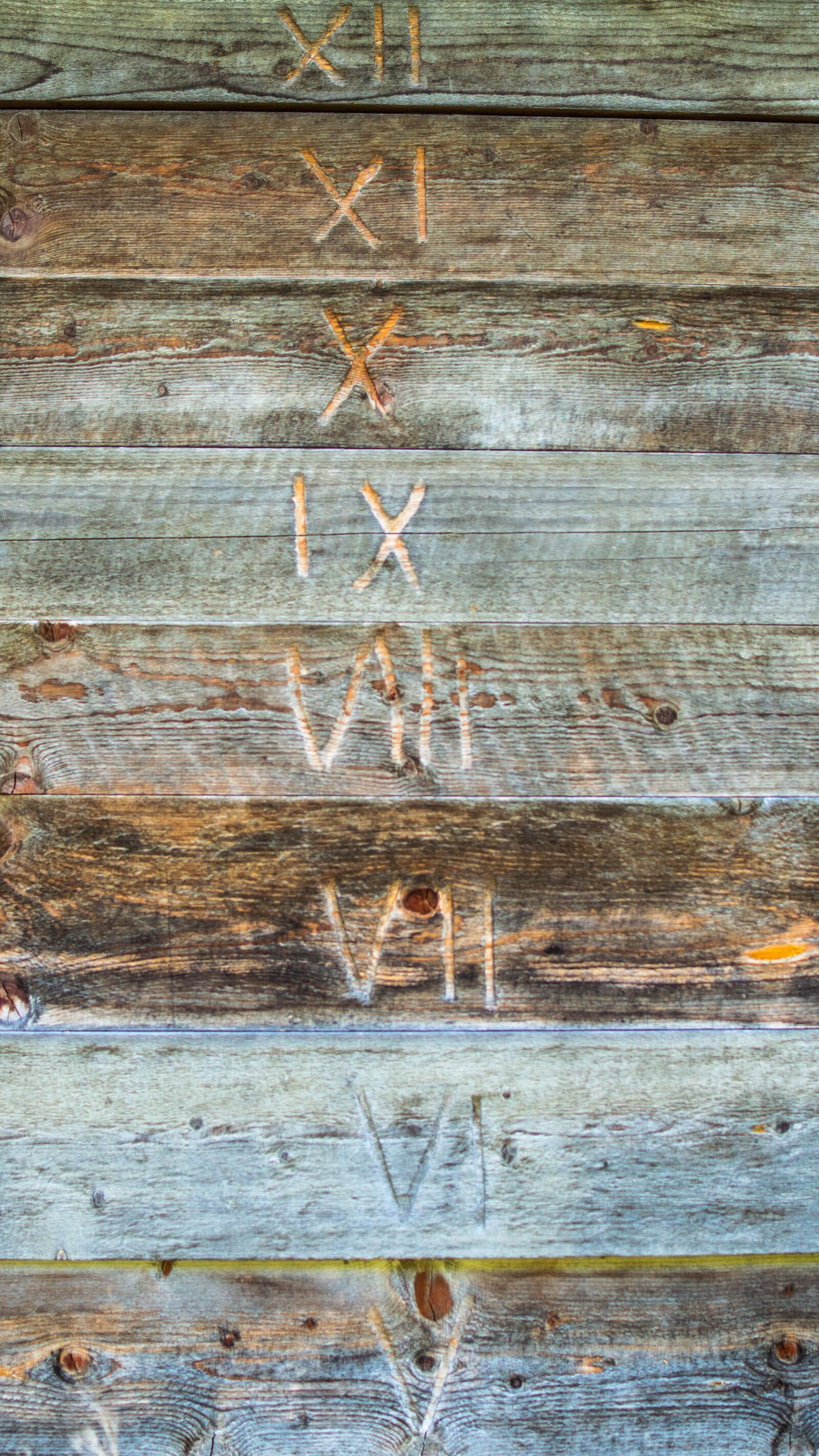 Nikon D3200 sample photo. Wood, heustadel, alpine photography