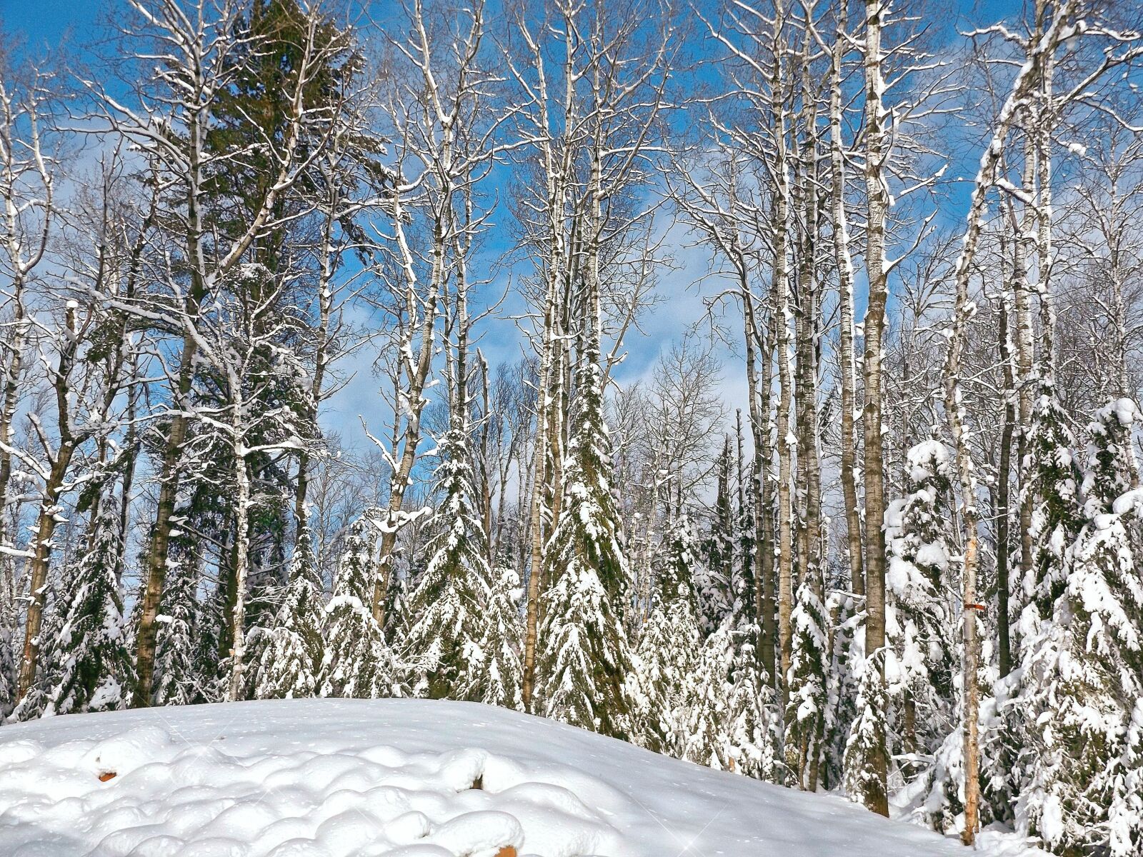 Fujifilm FinePix S8600 sample photo. Winter, snow, cold photography