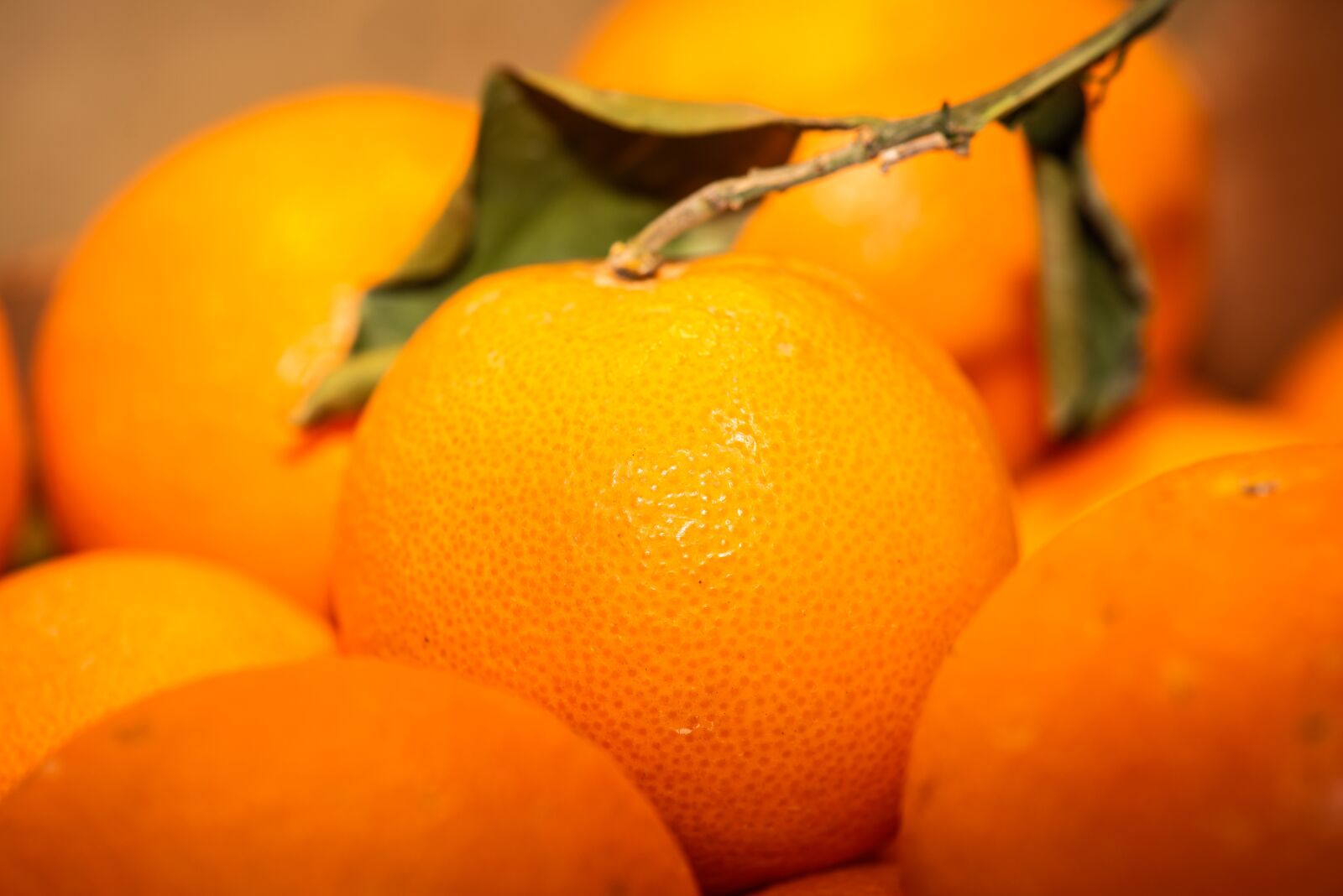 Nikon D750 sample photo. Orange, fruit, vitamins photography