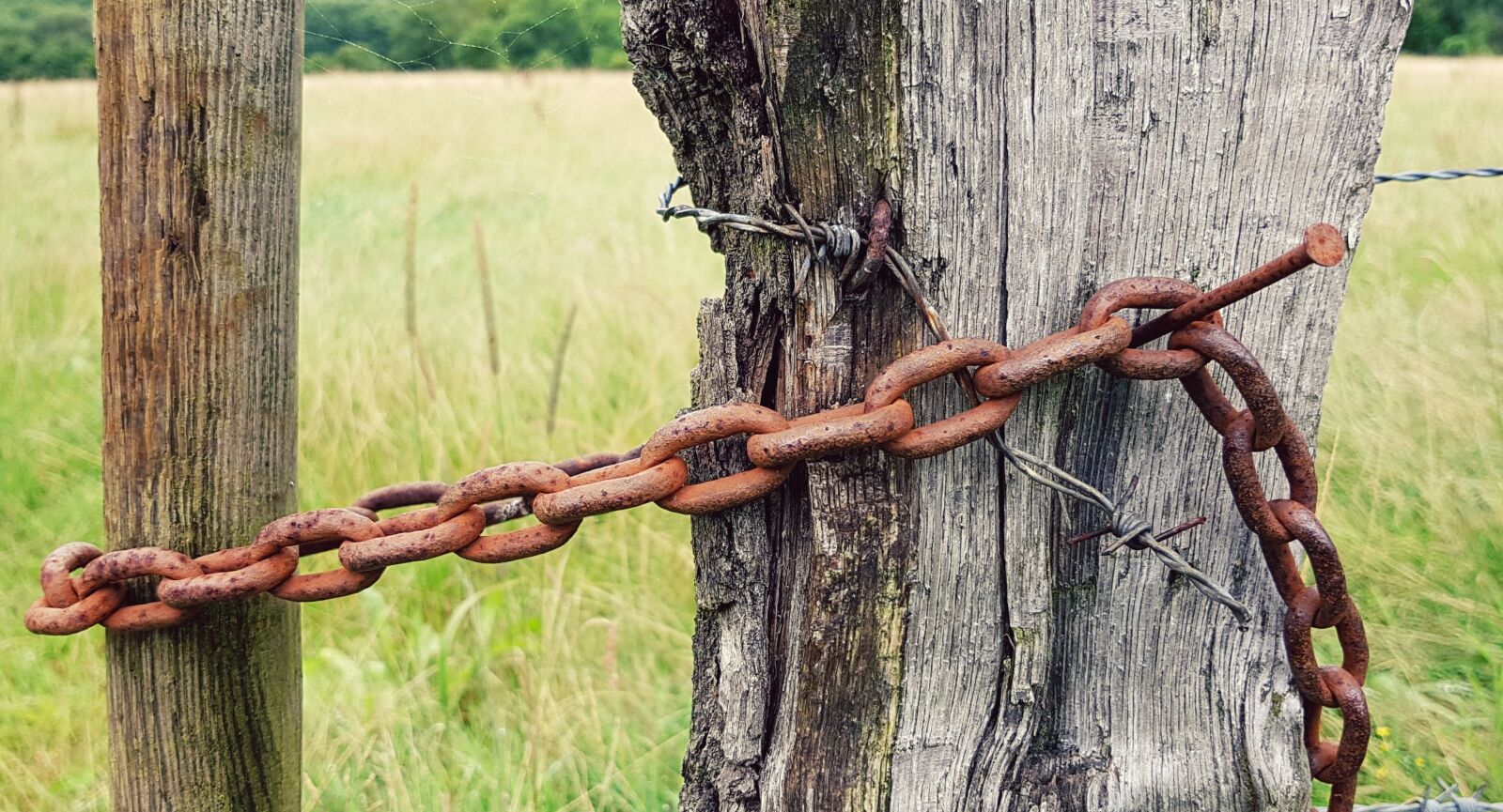 Samsung Galaxy S7 sample photo. Fence, fence post, wooden photography