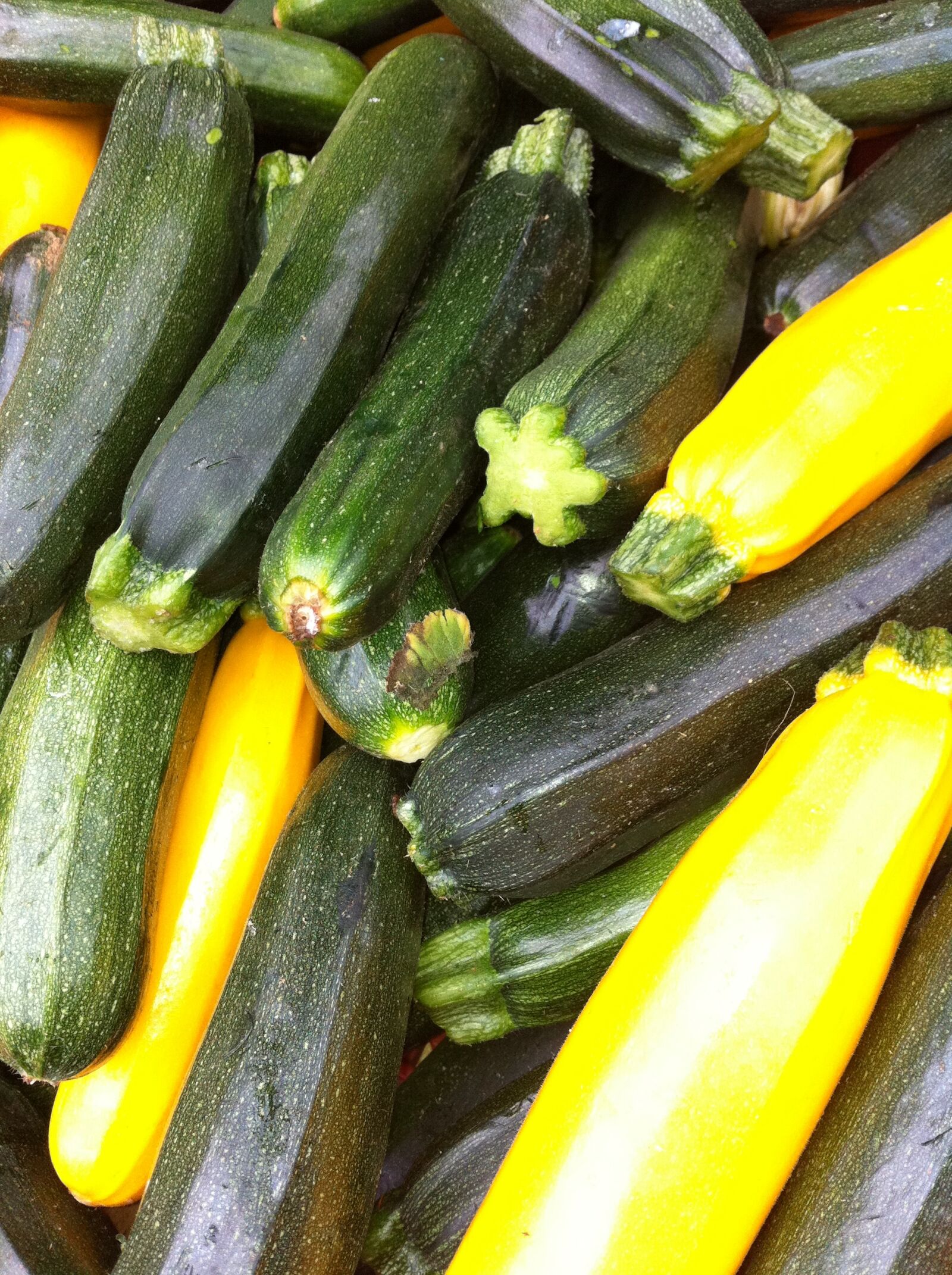 Apple iPhone 4 sample photo
