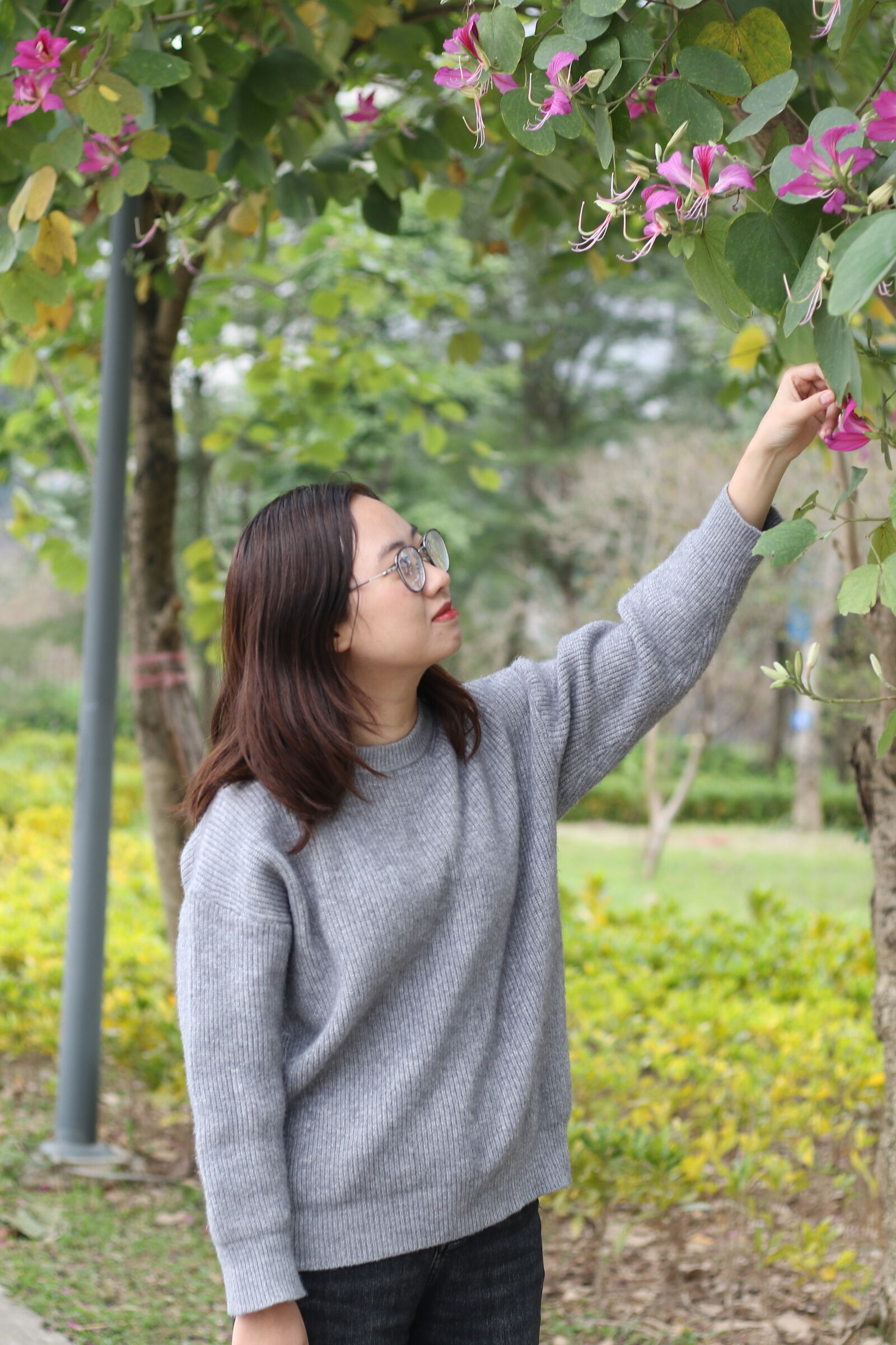 Canon EF 50mm F1.8 STM sample photo