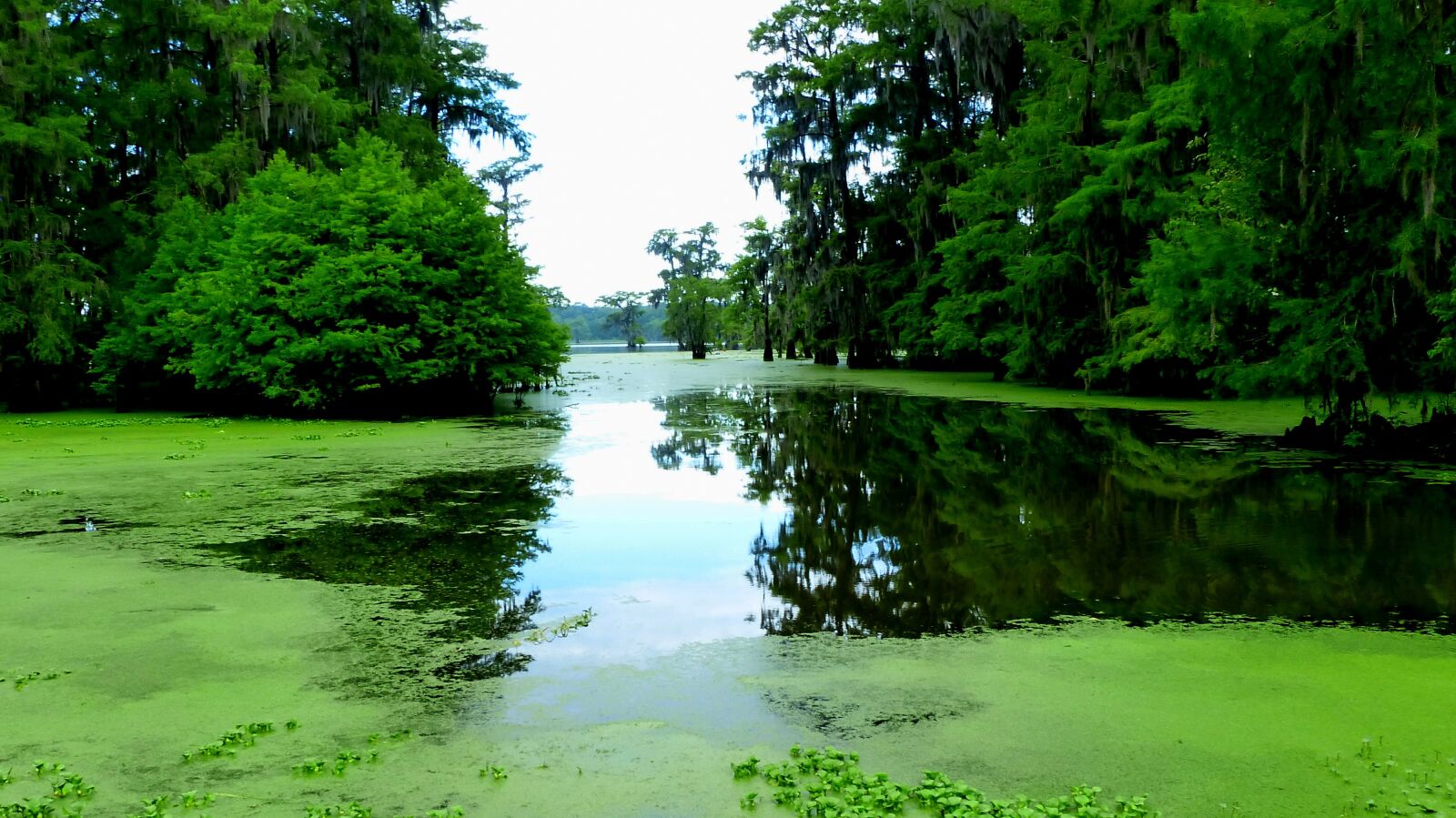 Panasonic Lumix DMC-FZ200 sample photo. Lake, water, reflections photography