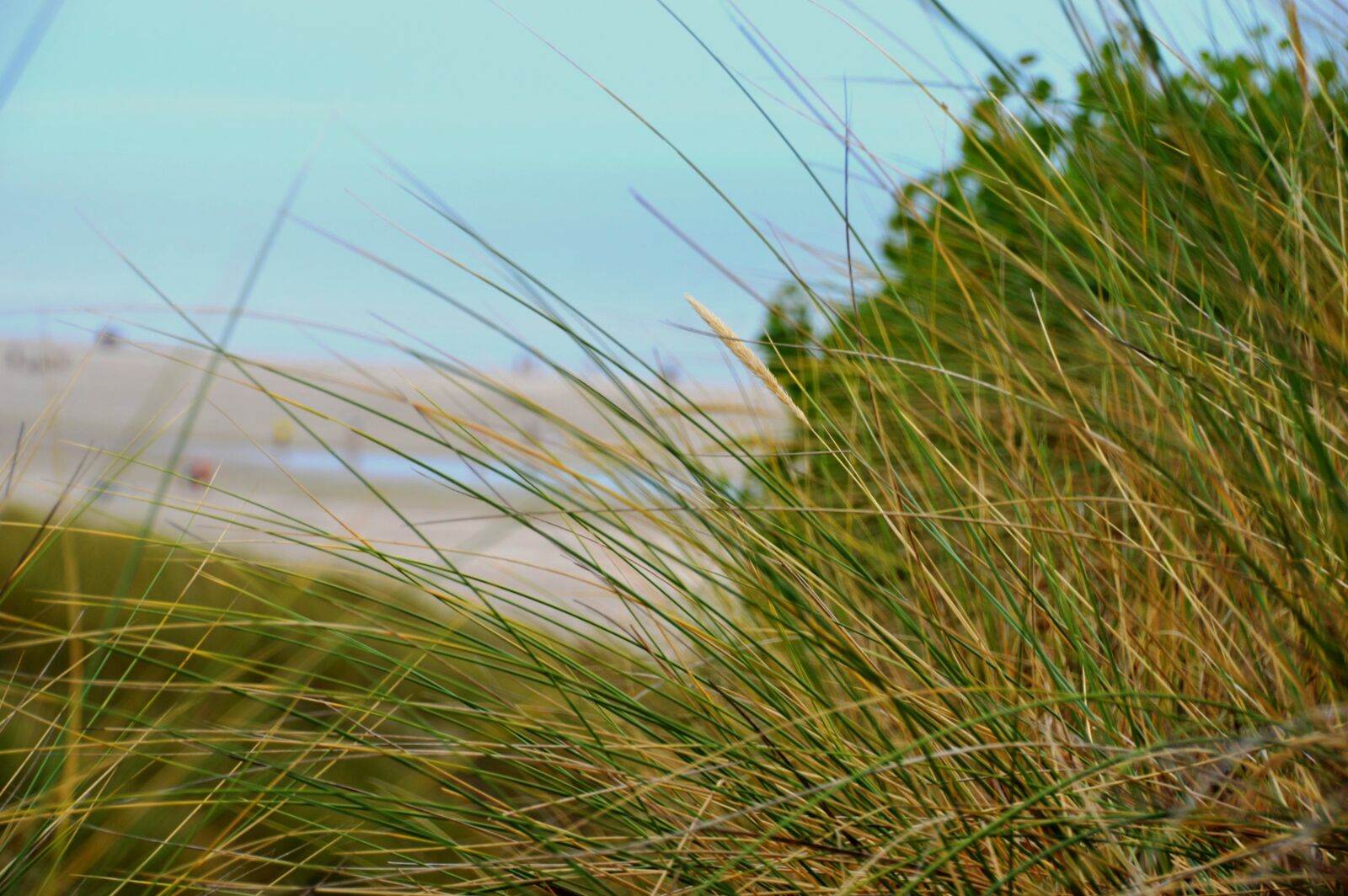 Nikon D3200 sample photo. Sea, beach, stella beach photography