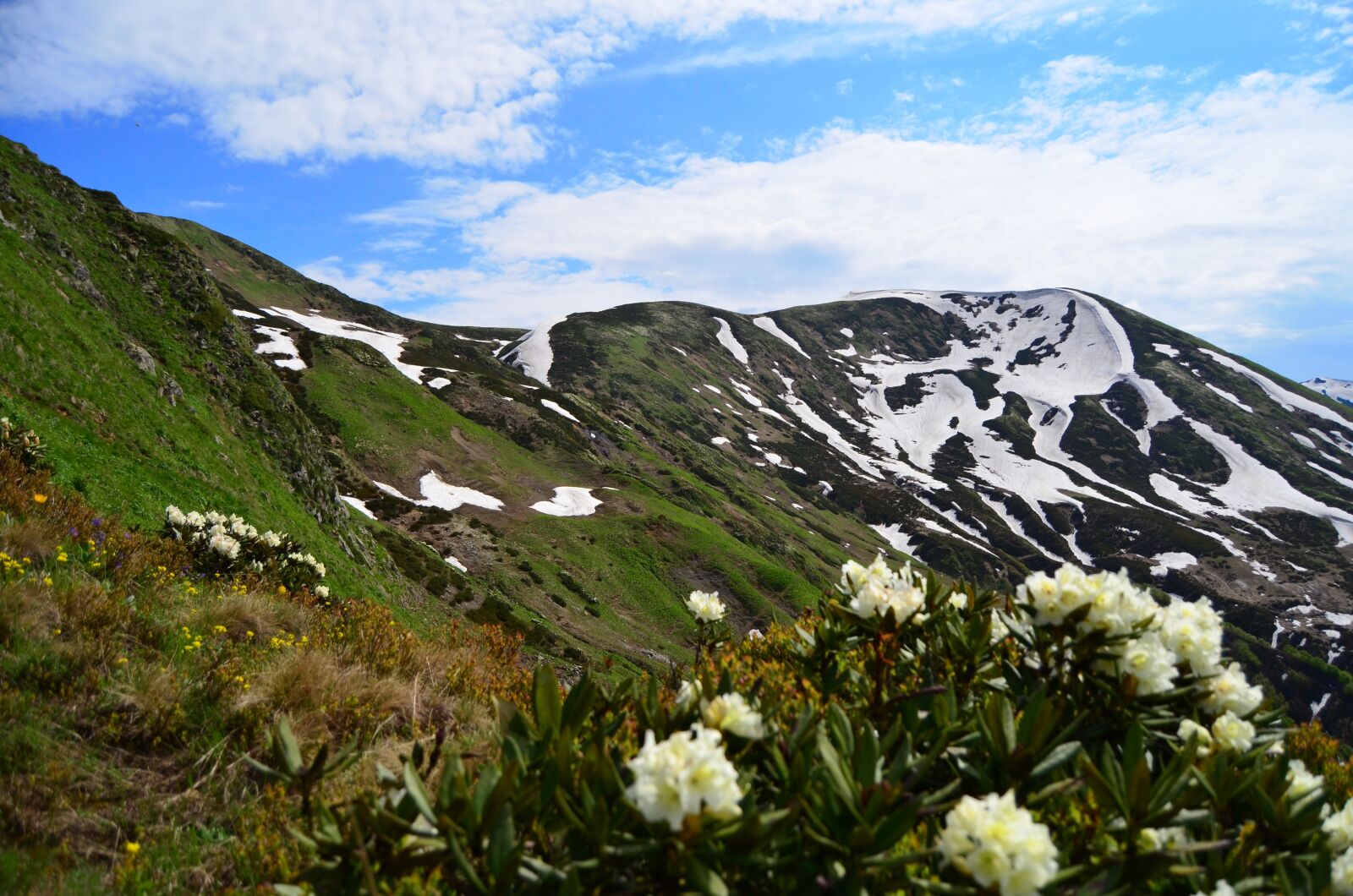 Nikon D5100 sample photo. Abkhazia, mountains, nature photography
