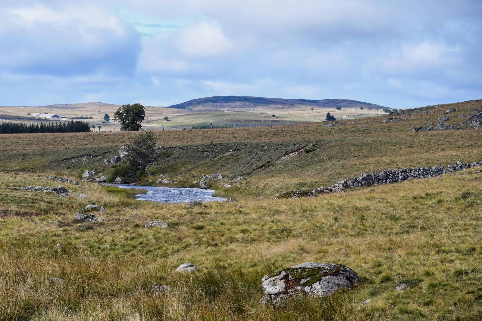 Nikon D500 sample photo. Hill, hillside, grass, landscape photography