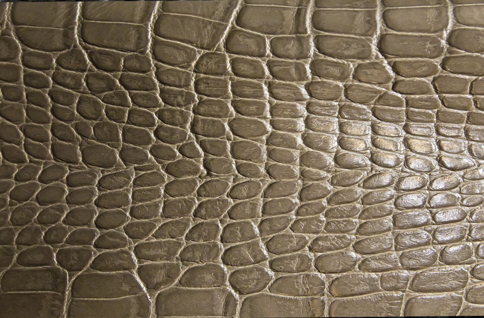 Nikon D700 sample photo. Texture, cook, skin photography