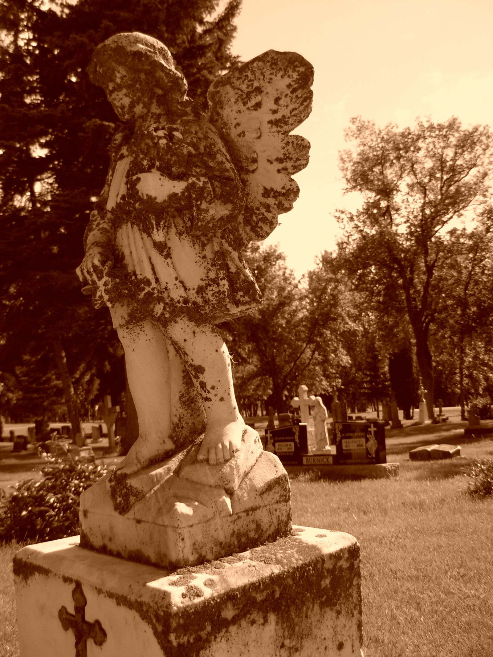 Nikon COOLPIX L5 sample photo. Graveyard, grave, angel photography