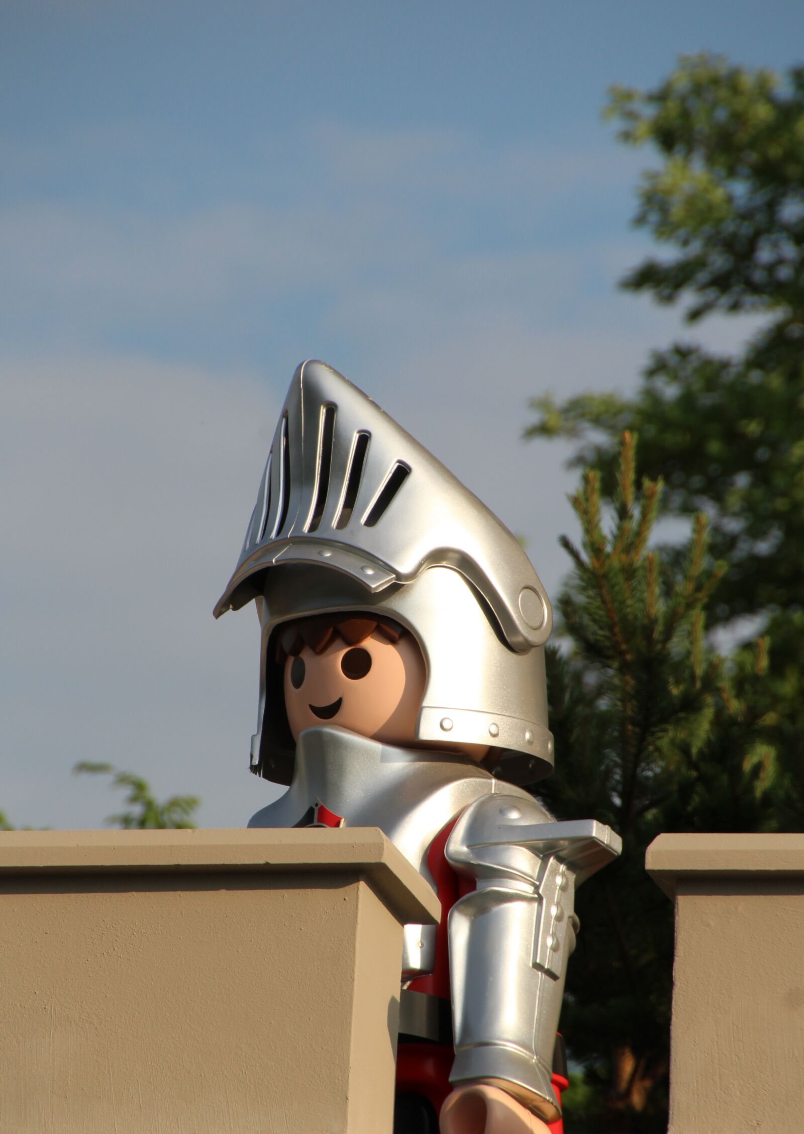 Canon EOS 1200D (EOS Rebel T5 / EOS Kiss X70 / EOS Hi) sample photo. Playmobil, knight, childhood photography