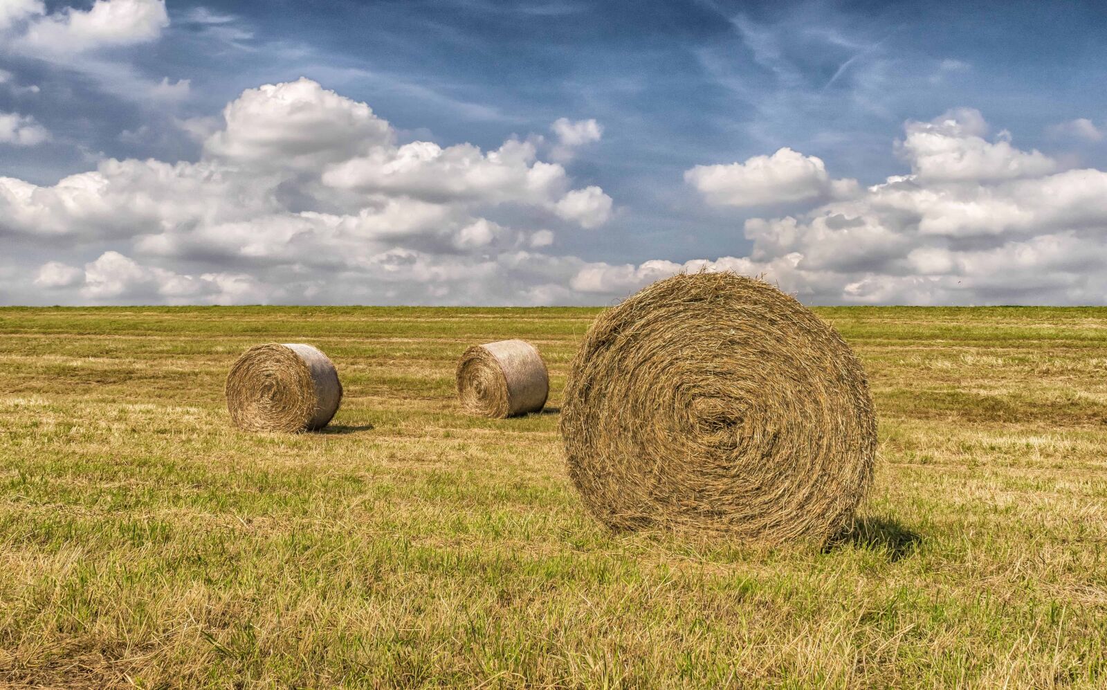 Nikon D3300 sample photo. Countryside, landscape, field, agriculture photography