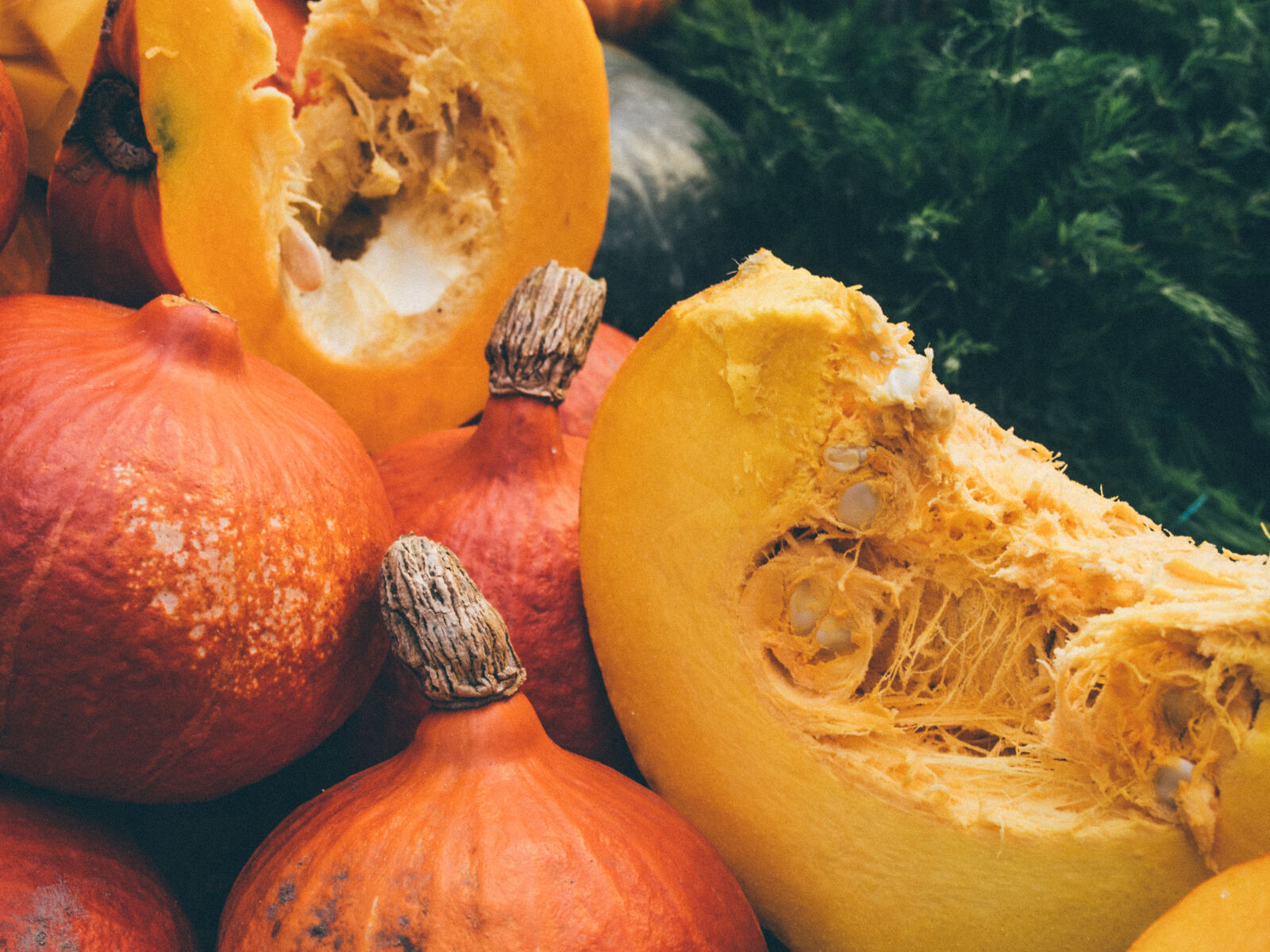 Olympus PEN E-PL5 sample photo. Theme, autumn photography