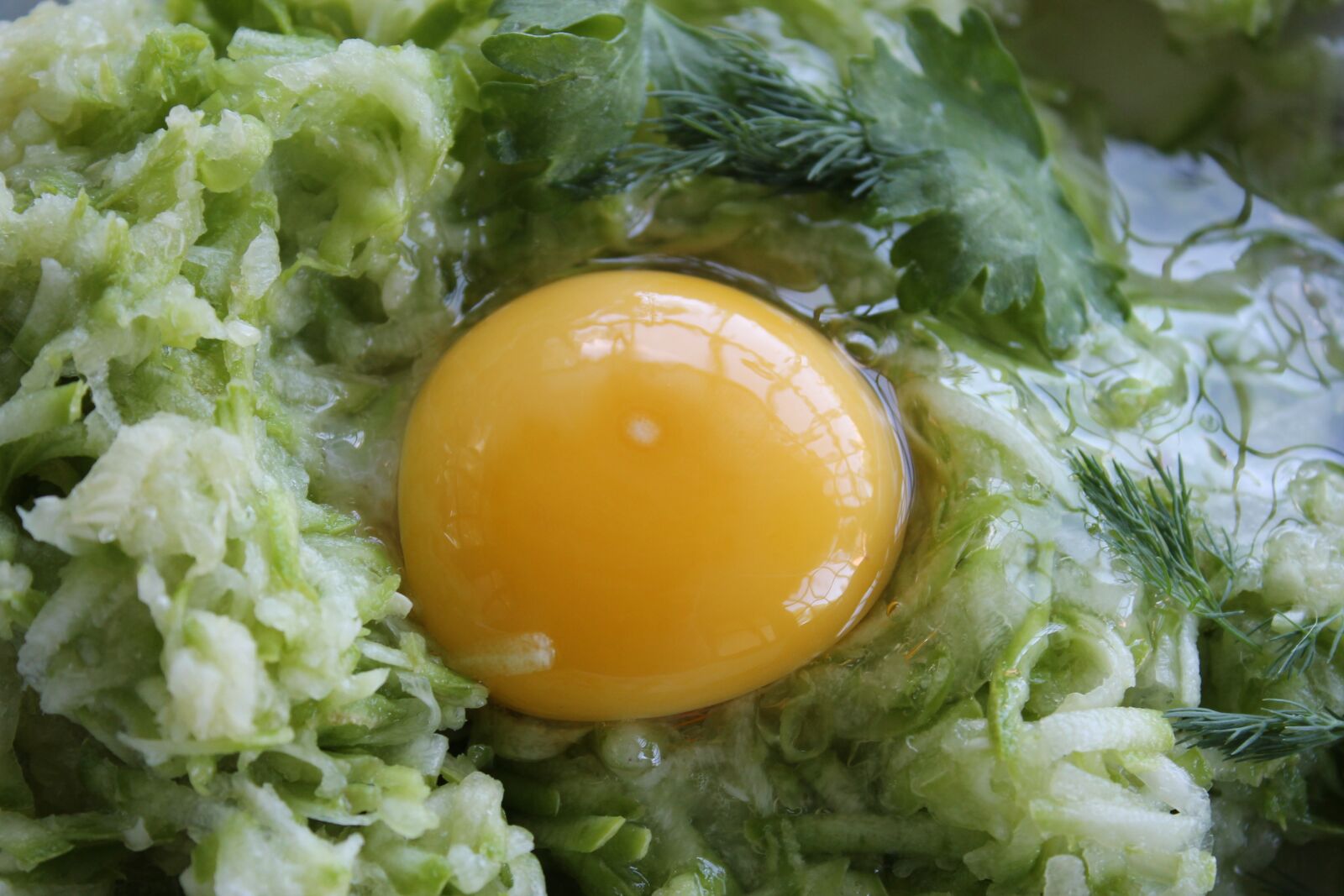 Canon EOS 1100D (EOS Rebel T3 / EOS Kiss X50) sample photo. The yolk, raw egg photography