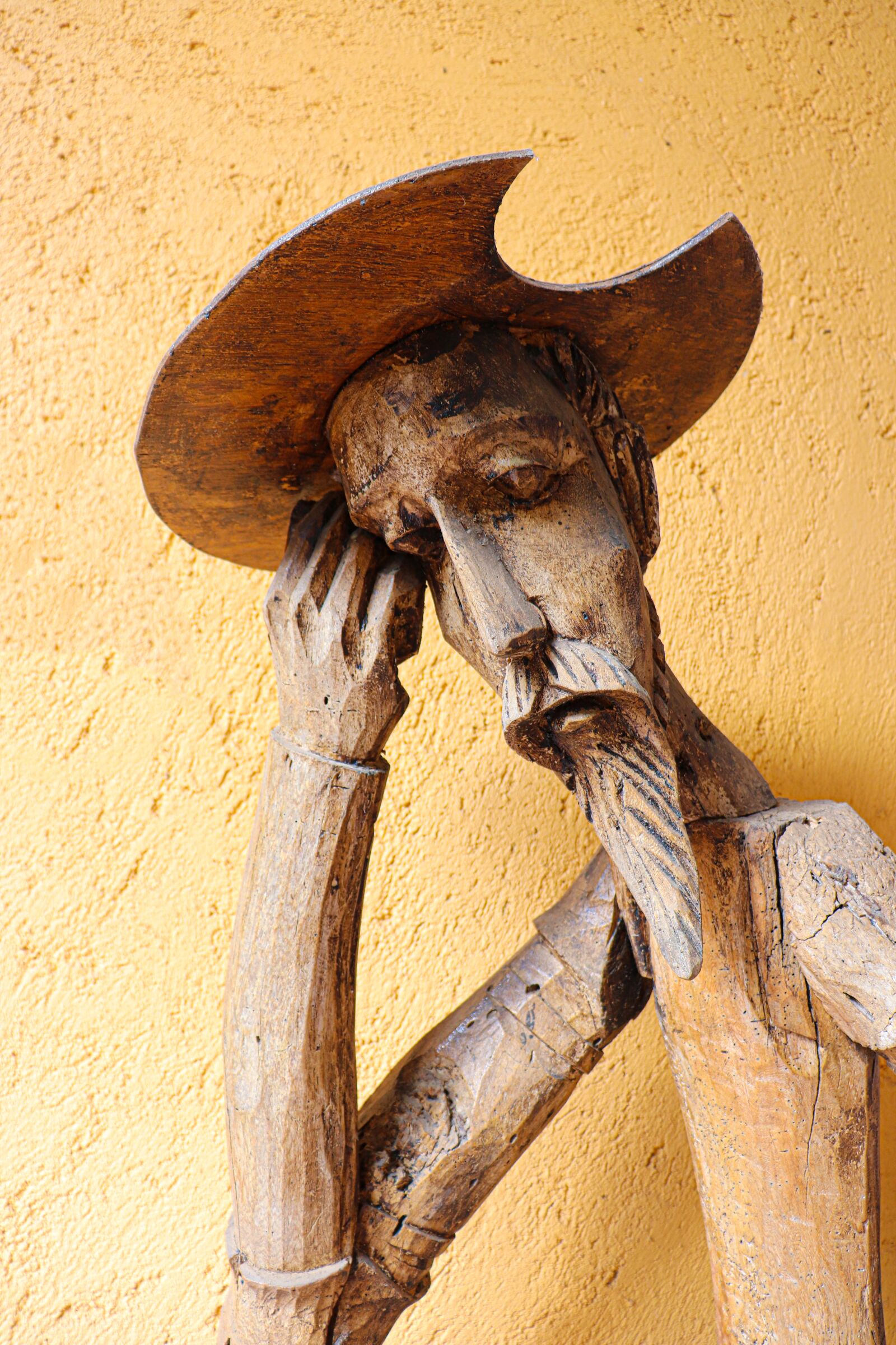Canon EOS 200D (EOS Rebel SL2 / EOS Kiss X9) sample photo. Don quixote, miguel de photography