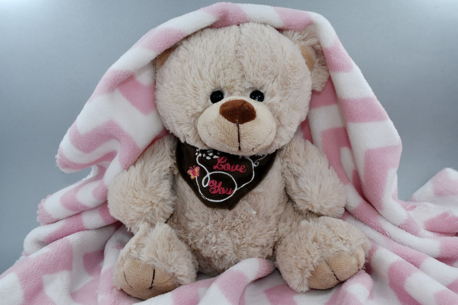 Nikon D5500 sample photo. Blanket, innocence, love, romance photography