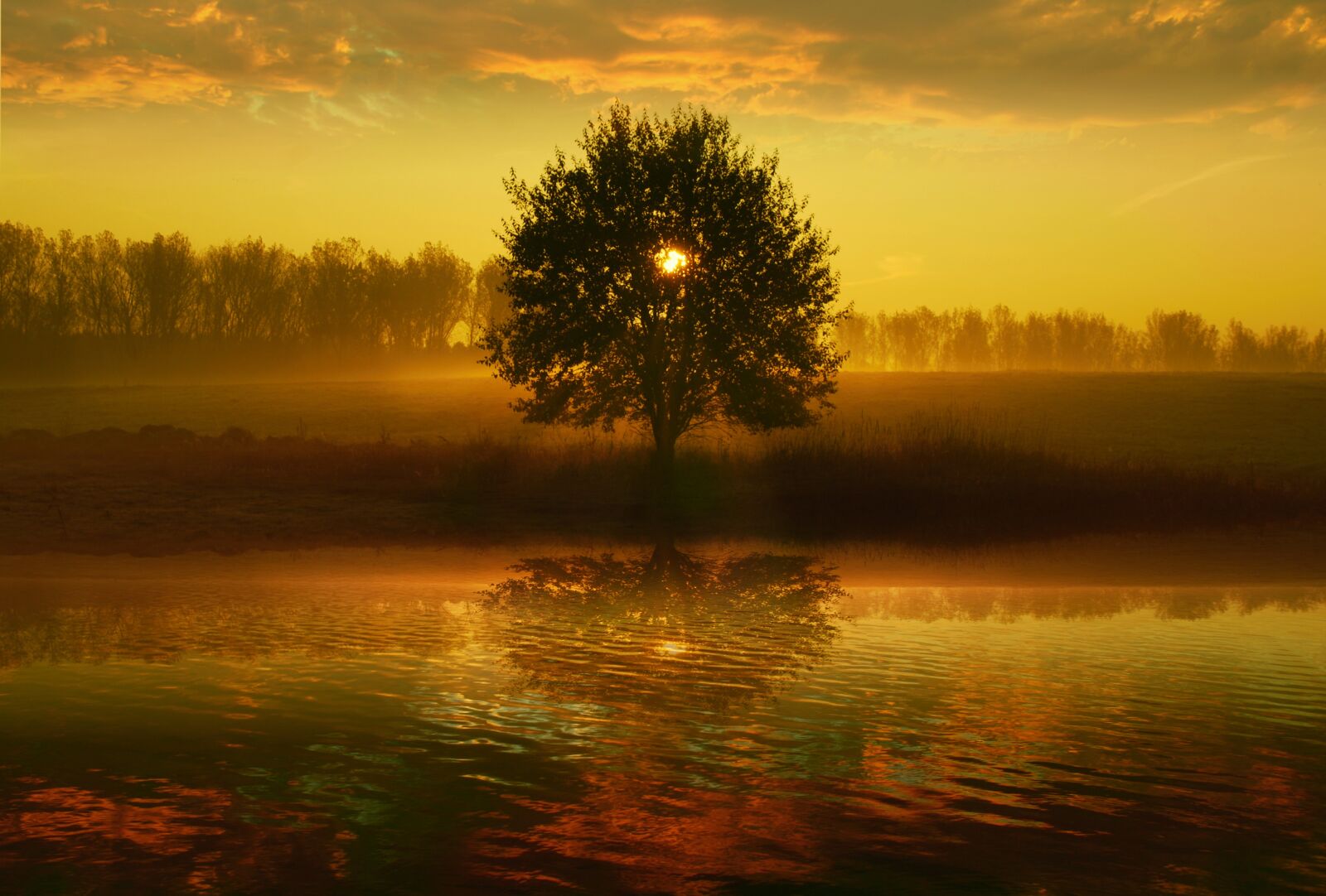 Nikon D80 sample photo. Sunrise, nature, sunset photography