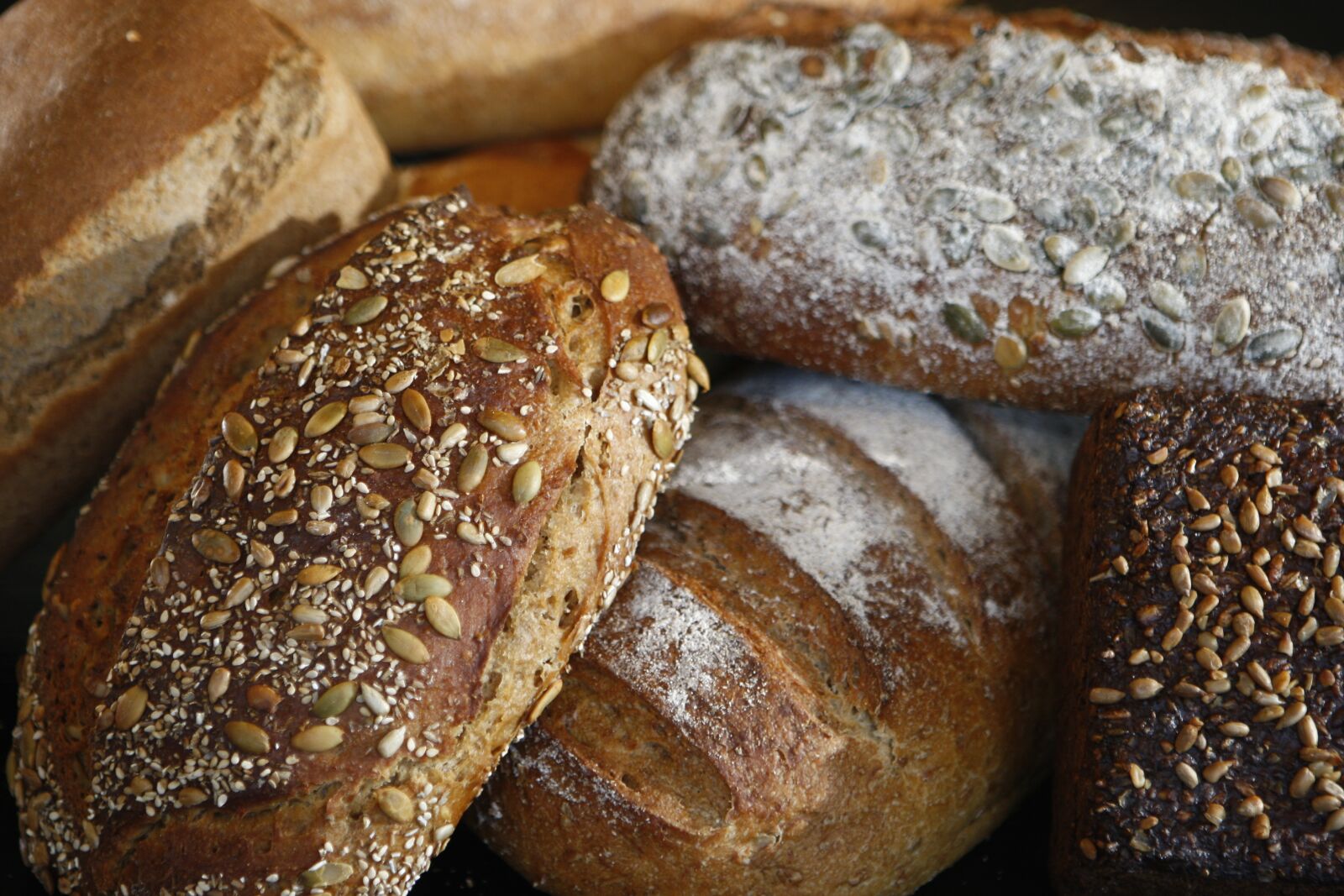 Canon EOS-1D Mark III sample photo. Bread, food, grainy bread photography