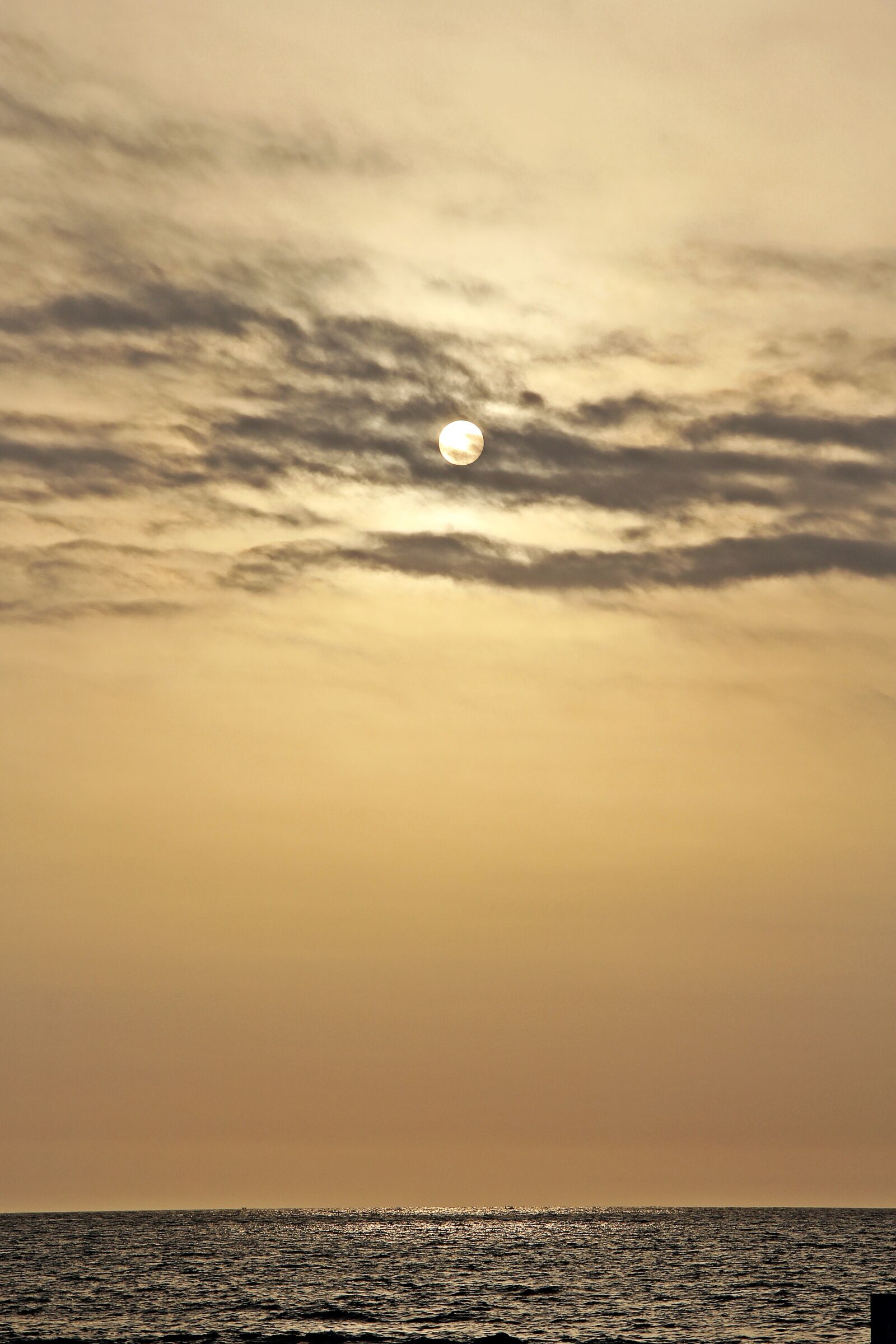 Canon EOS 60D sample photo. Marine, solar, summer photography