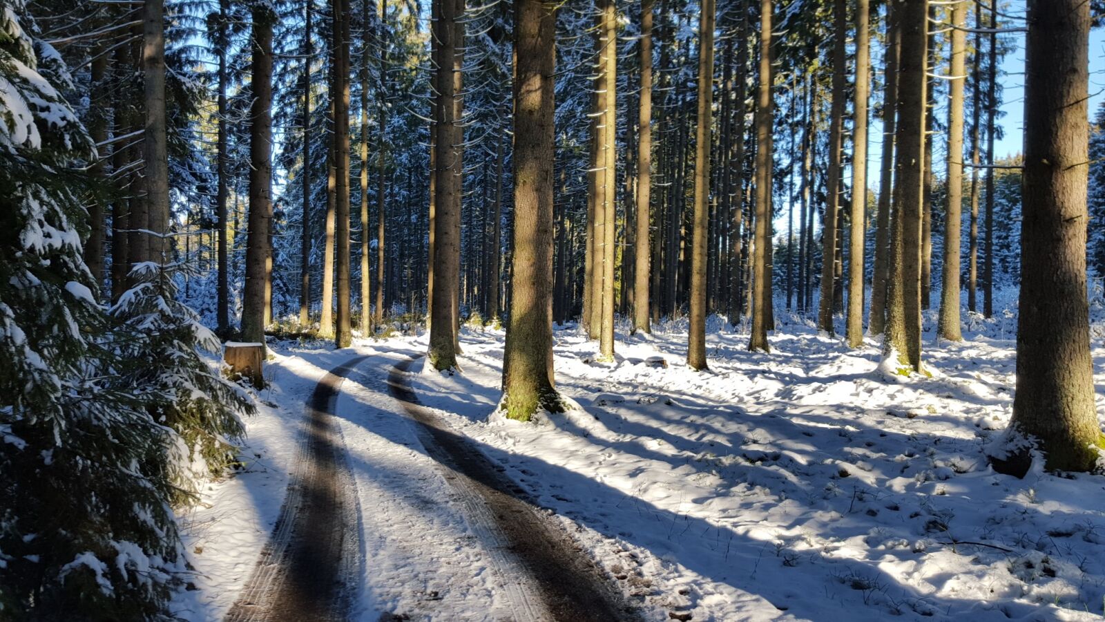 Samsung Galaxy S6 sample photo. Forest, snow, bad leonfelden photography